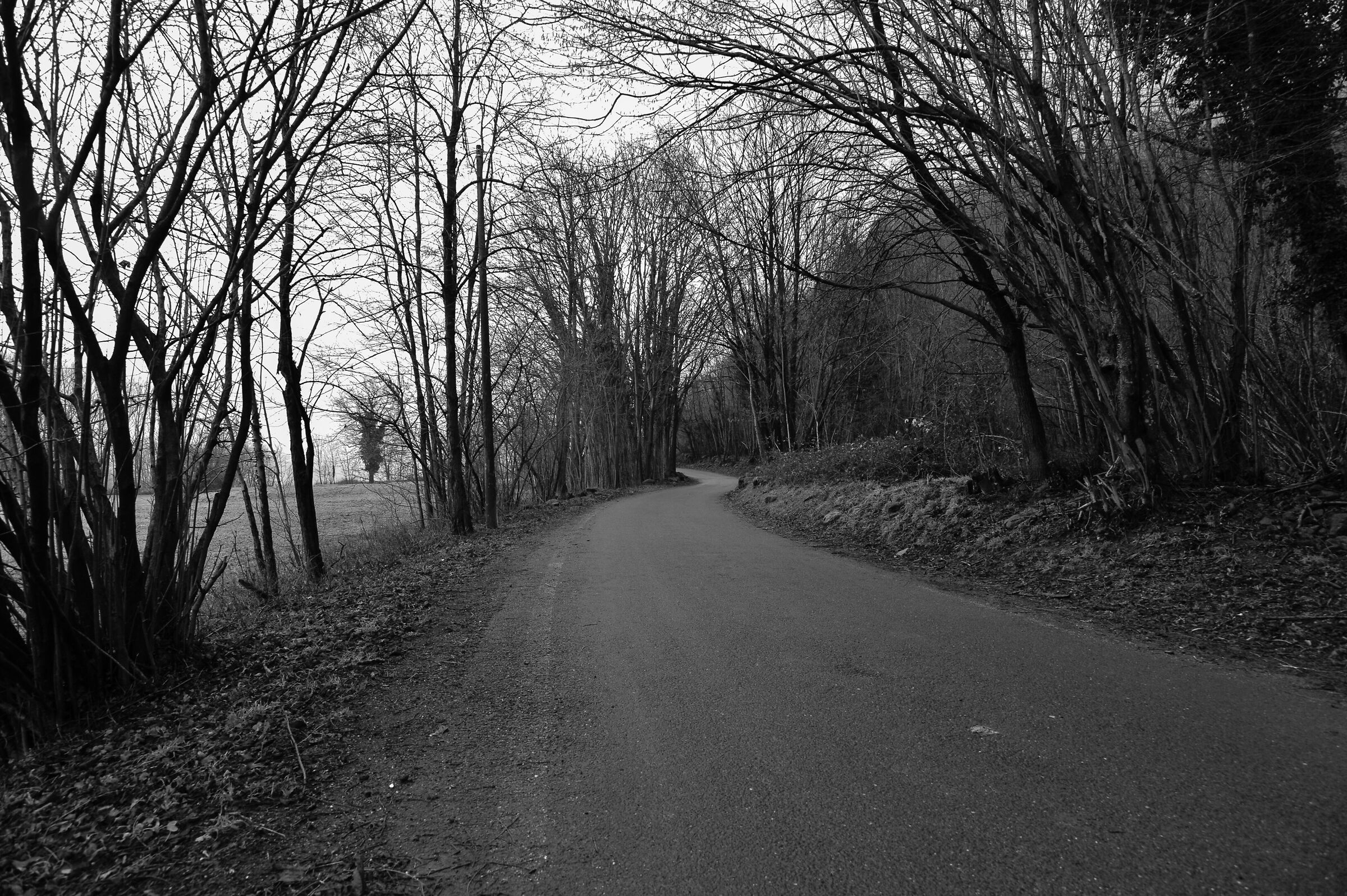 roads