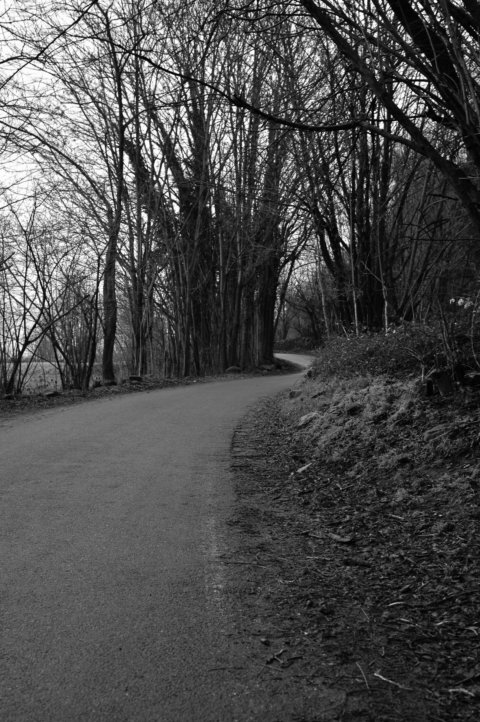 roads