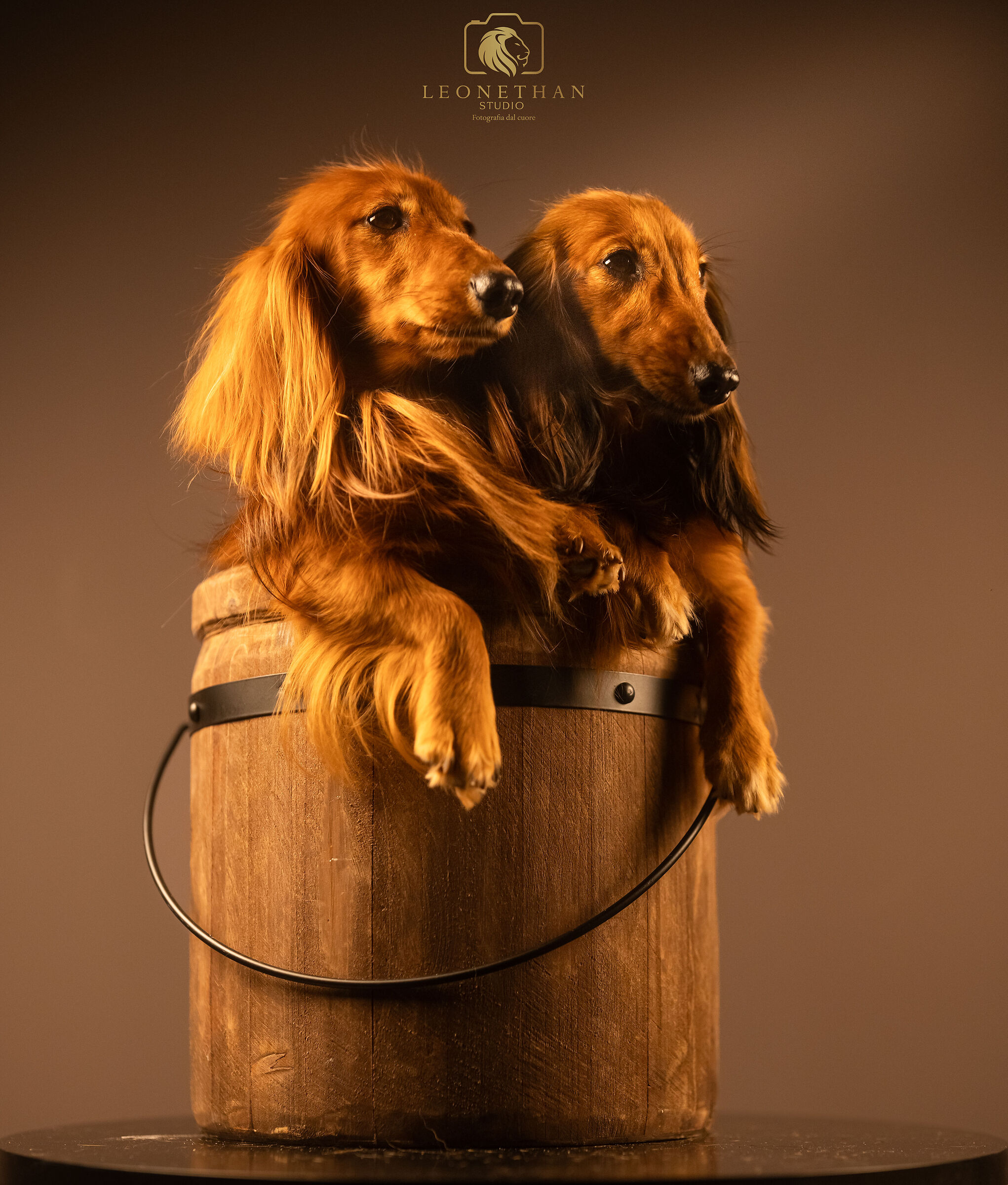 siamo la coppia più bella del mondo