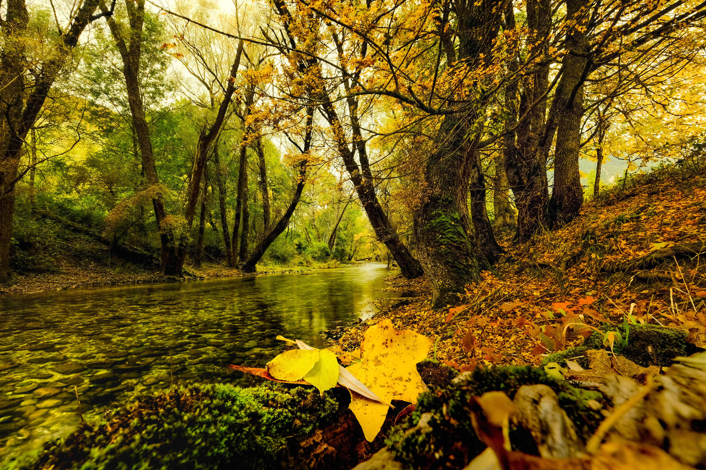 Golden autumn