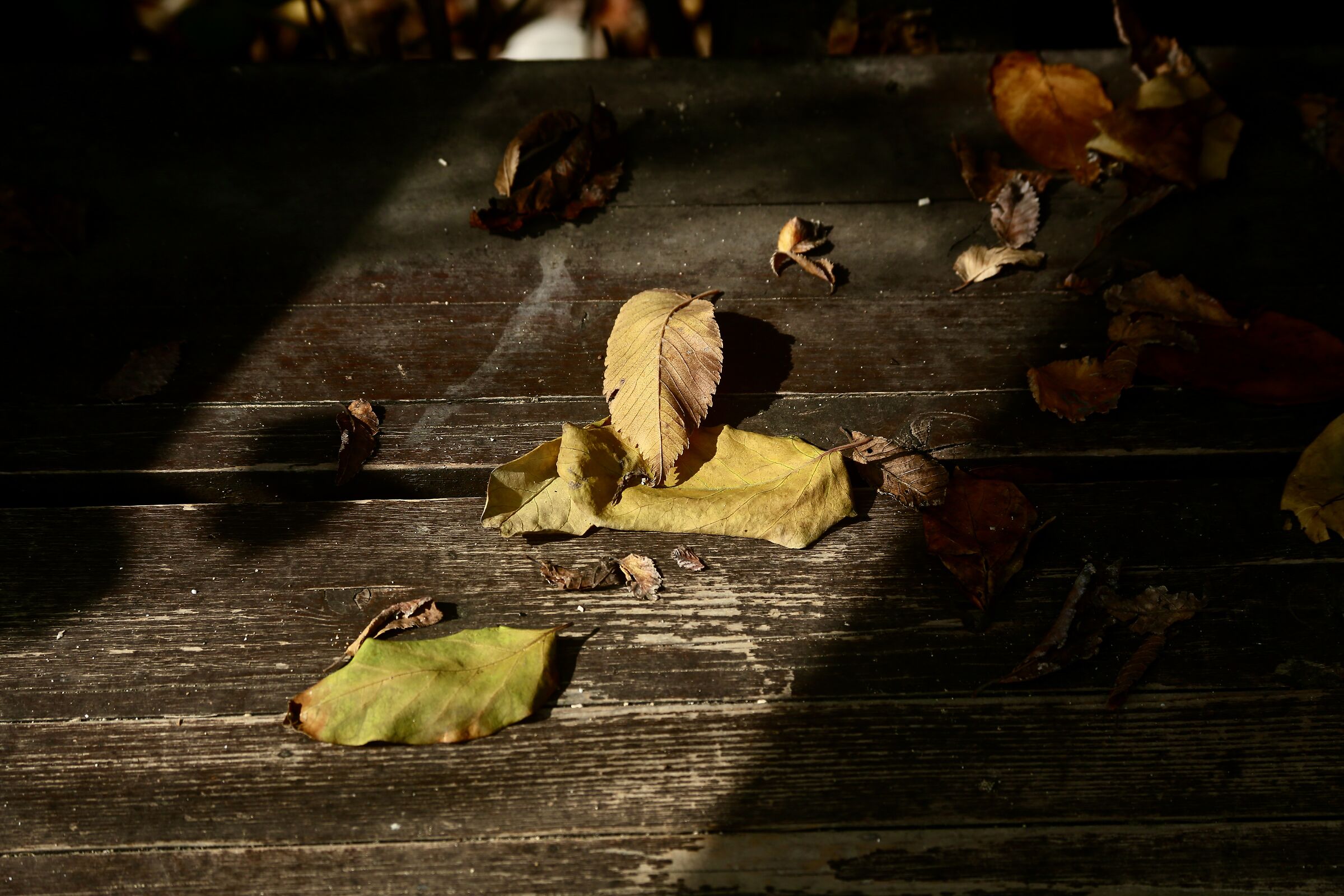 Tra luce ed ombra.