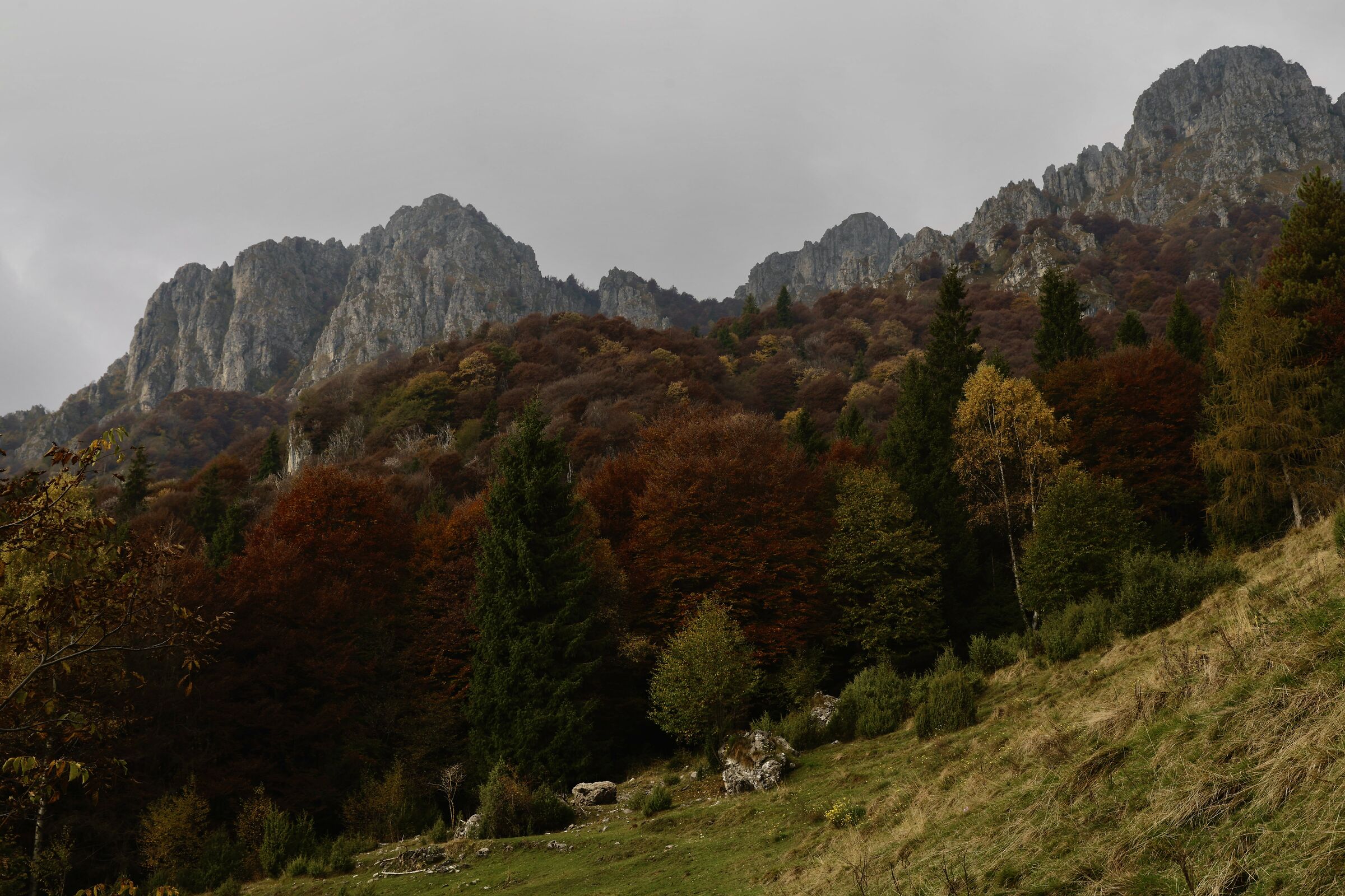 Val Vertova