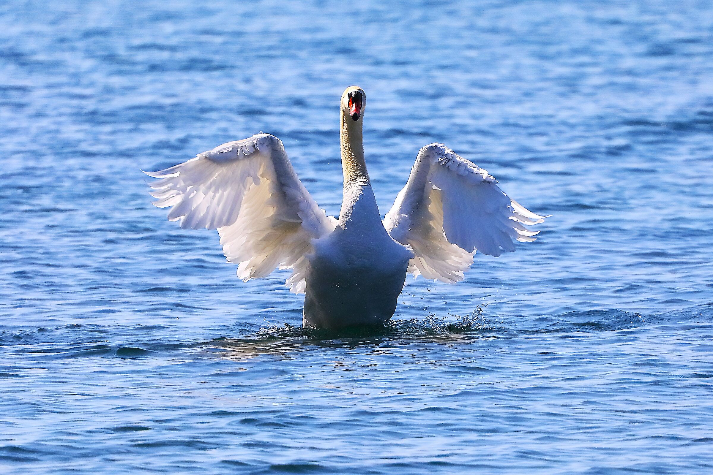 Arrivo 29 aprile 2025 - 0048