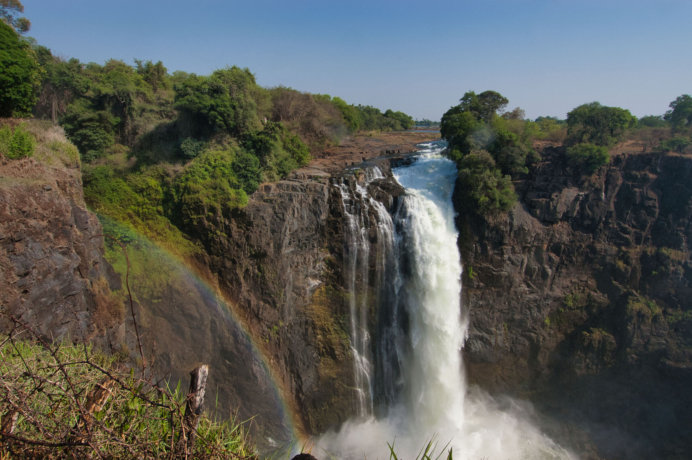 Victoria's rainbow