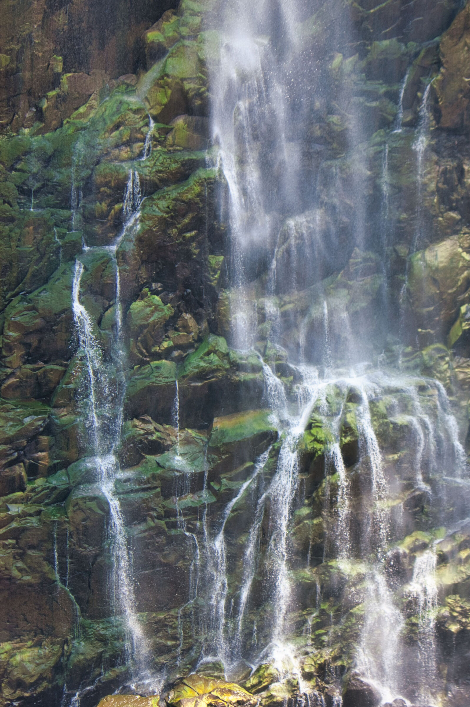 Falls