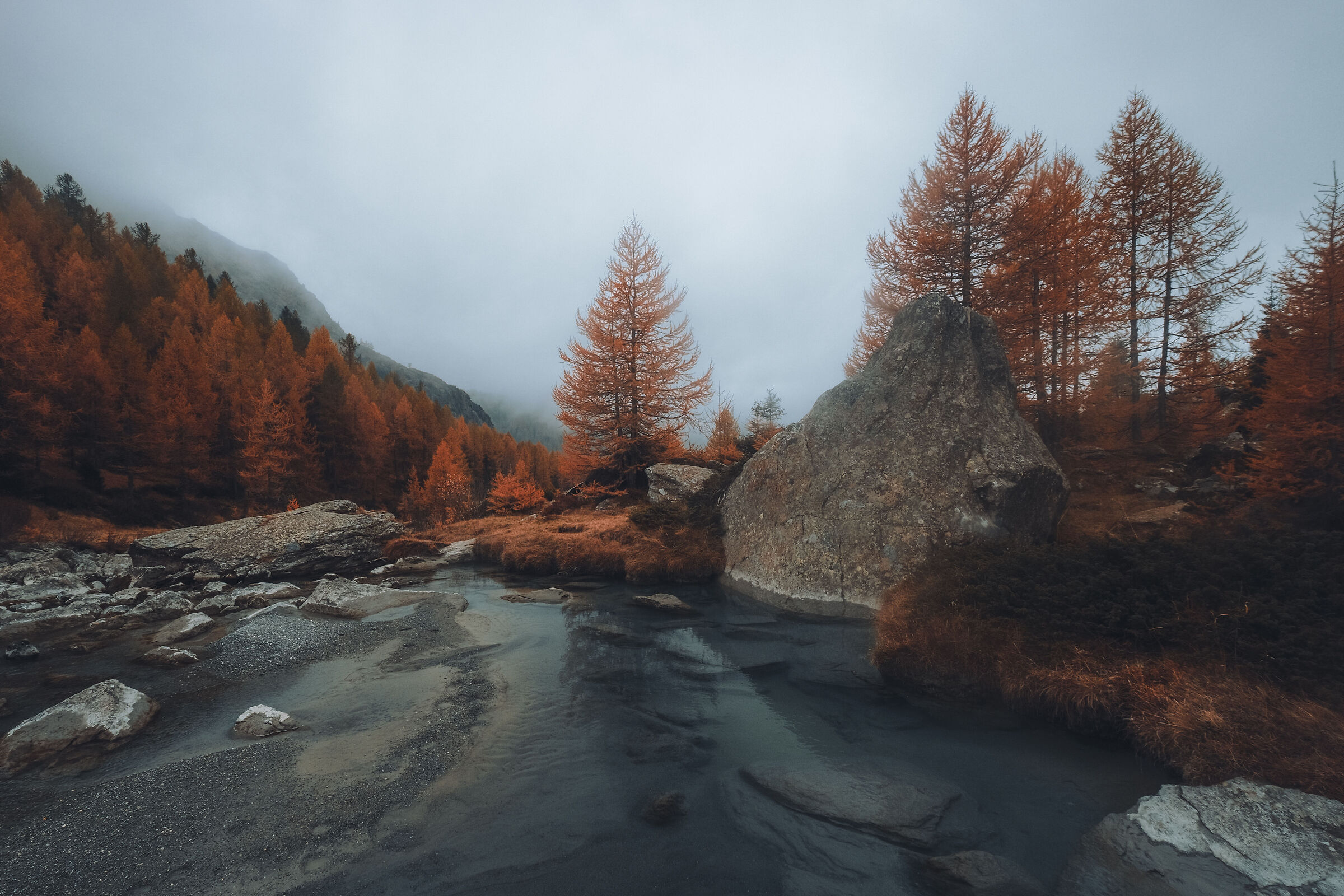 Untitled Photo