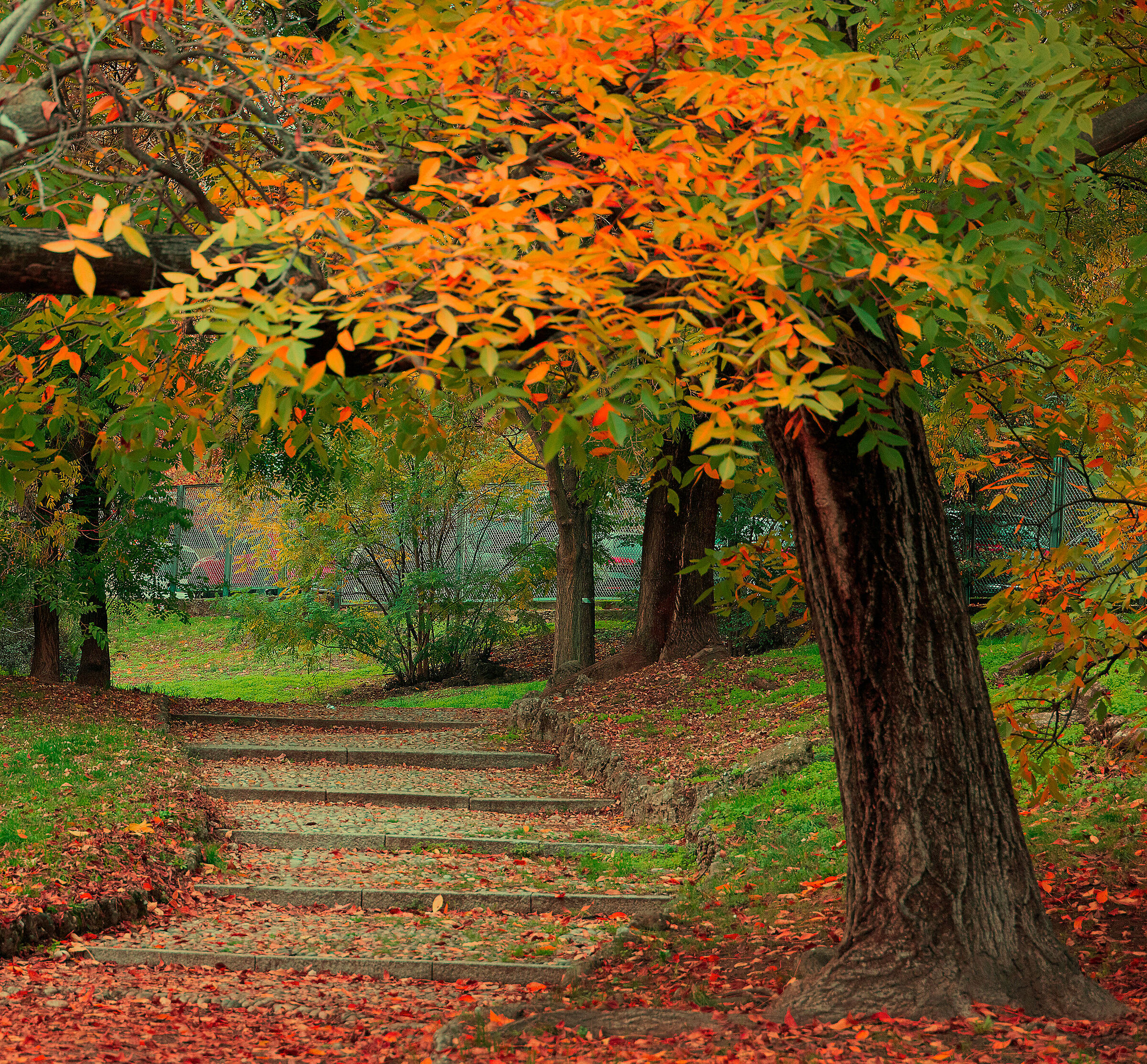 autunnale