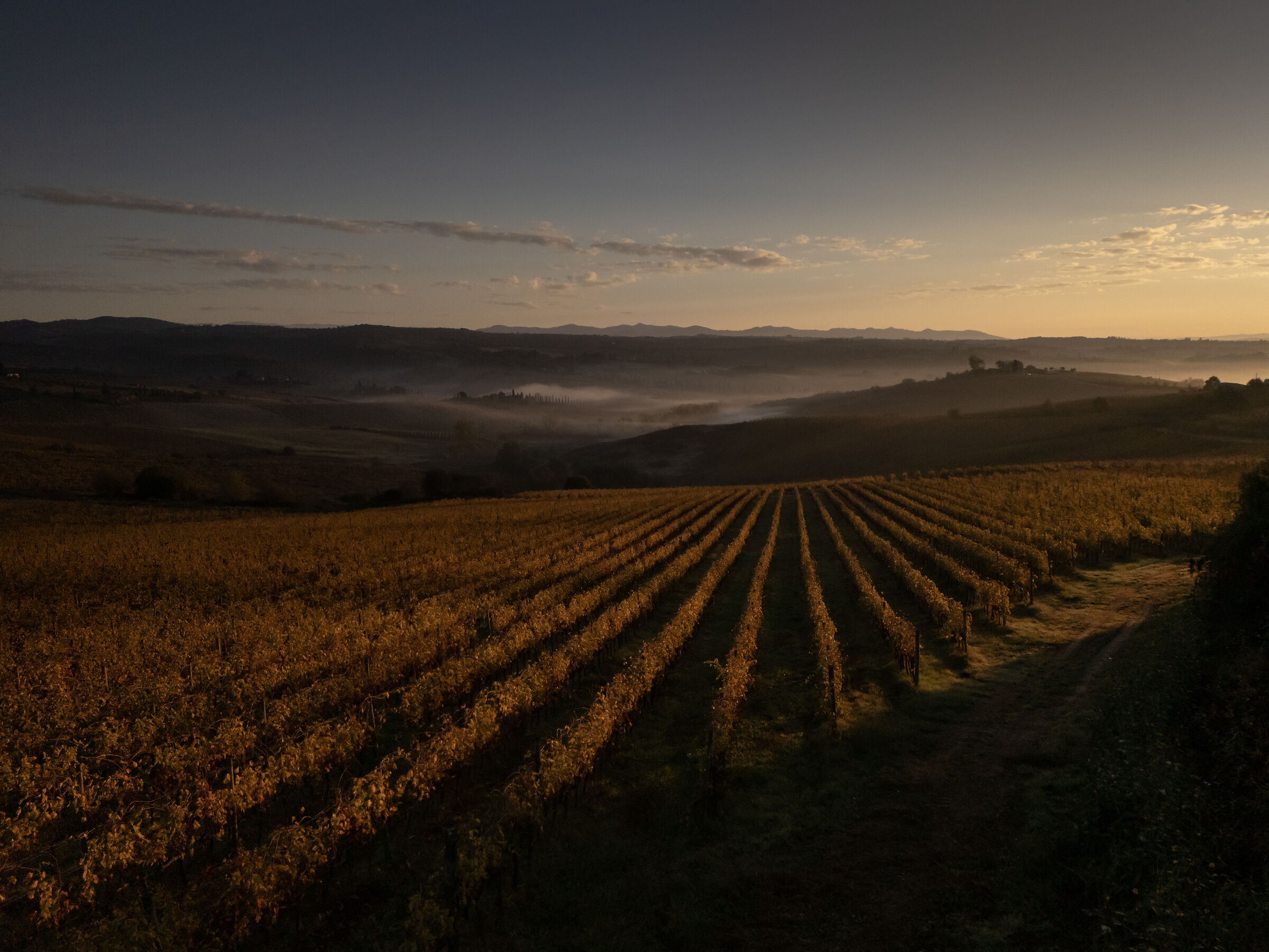 Sienese Countryside