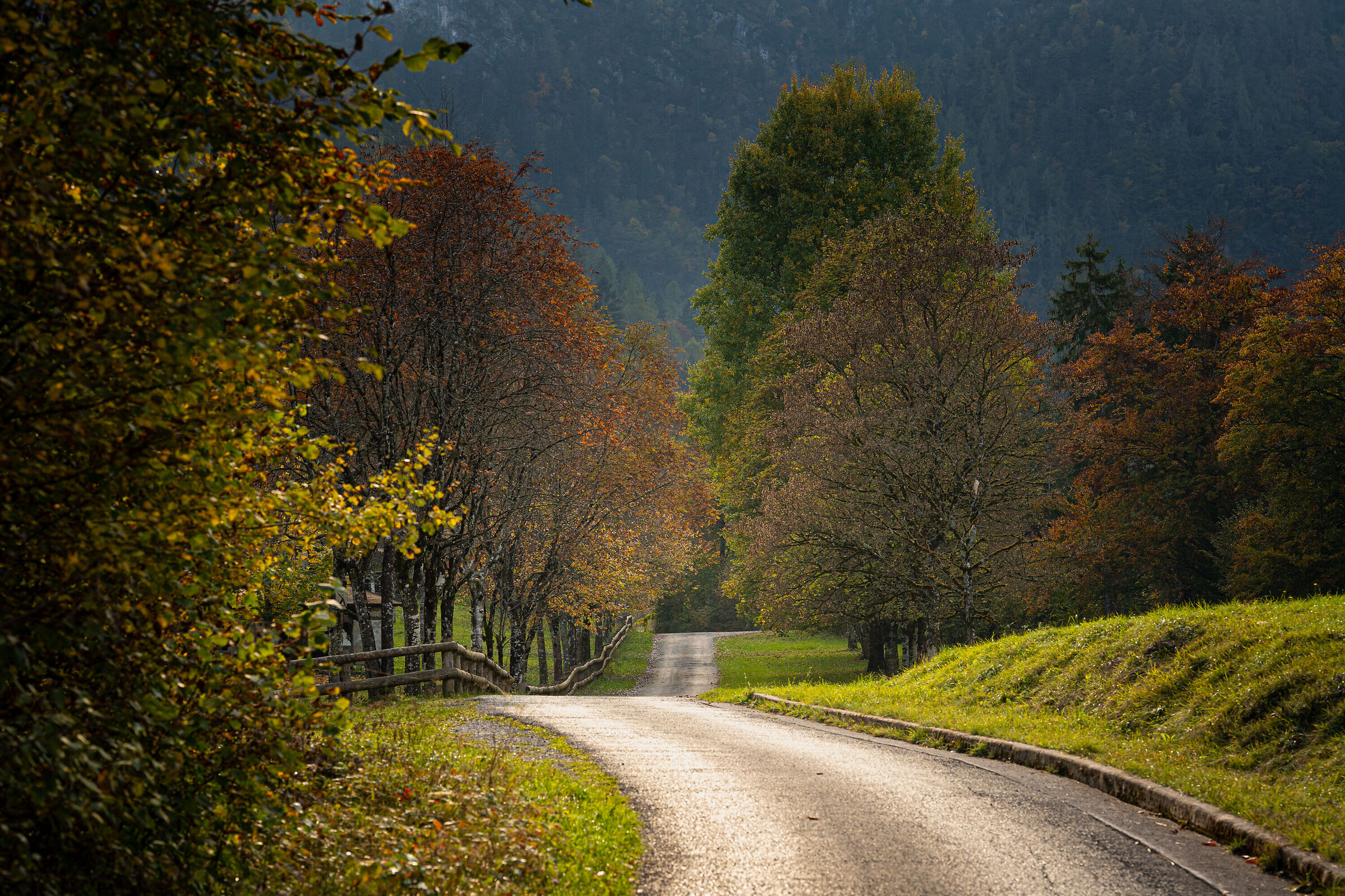 foliage a ledro