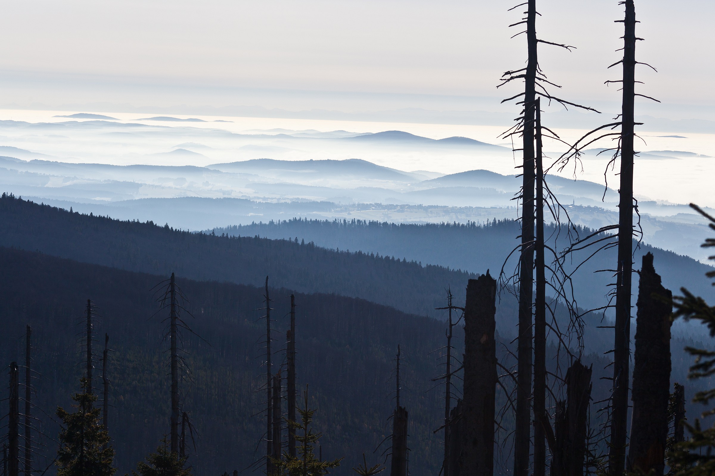 Nationalpark Bayerischer Wald, Germania
