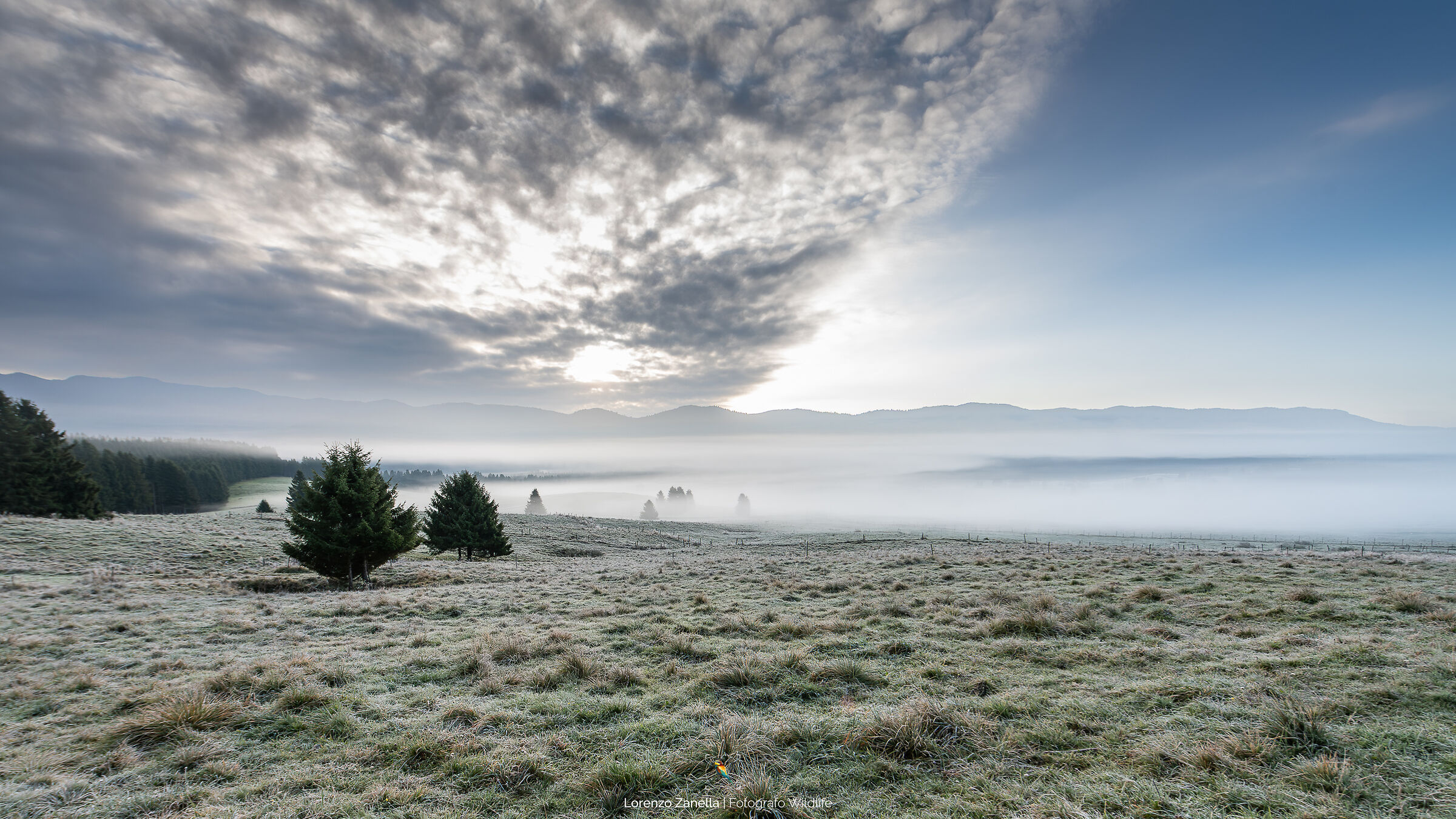 Tundra? No Cansiglio