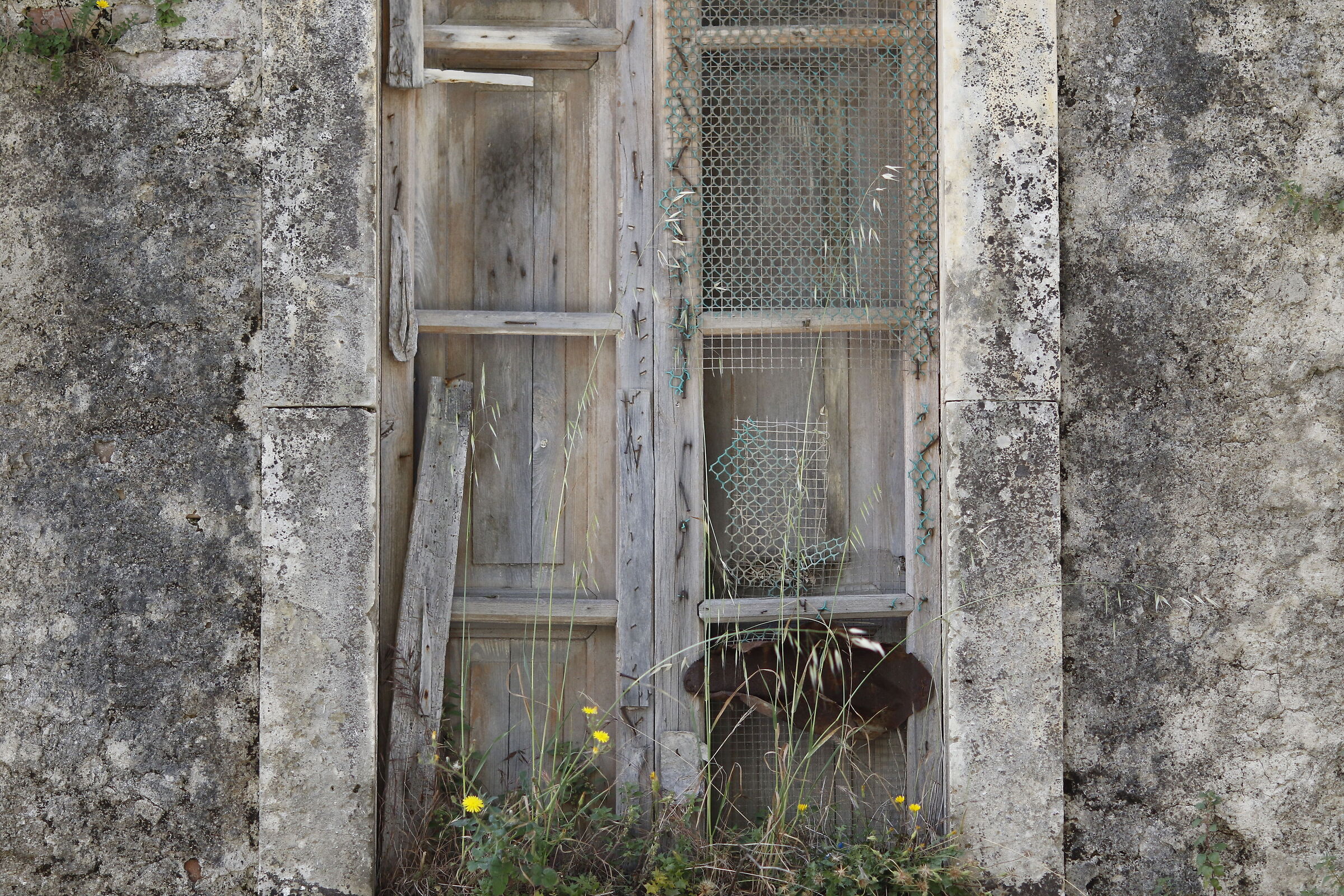@ " F. 2 " 1/ 4 Mila, Canon 135 F. 2 L Usm, 7 D II