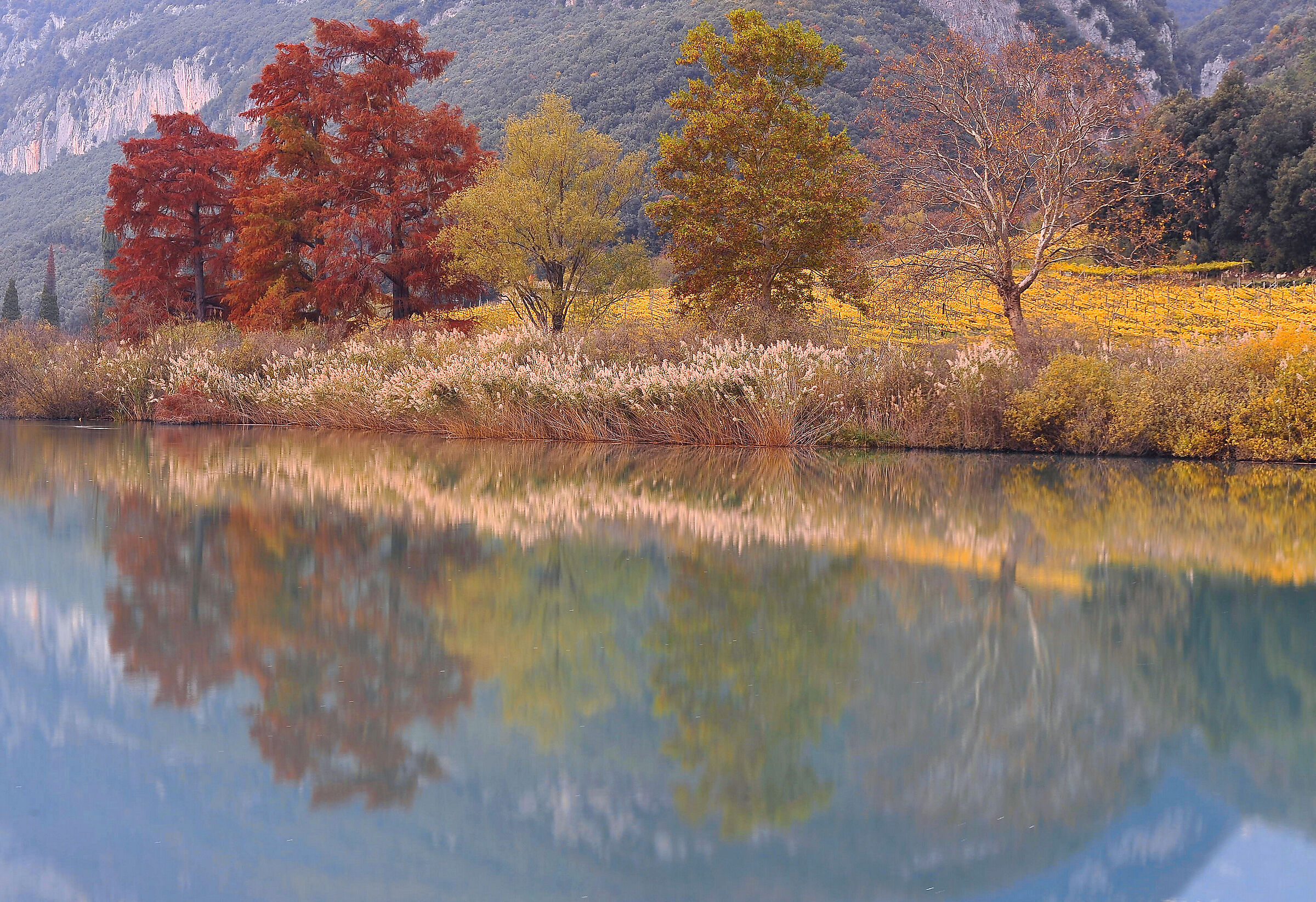 AUTUMN ON LAKE TOBLINO