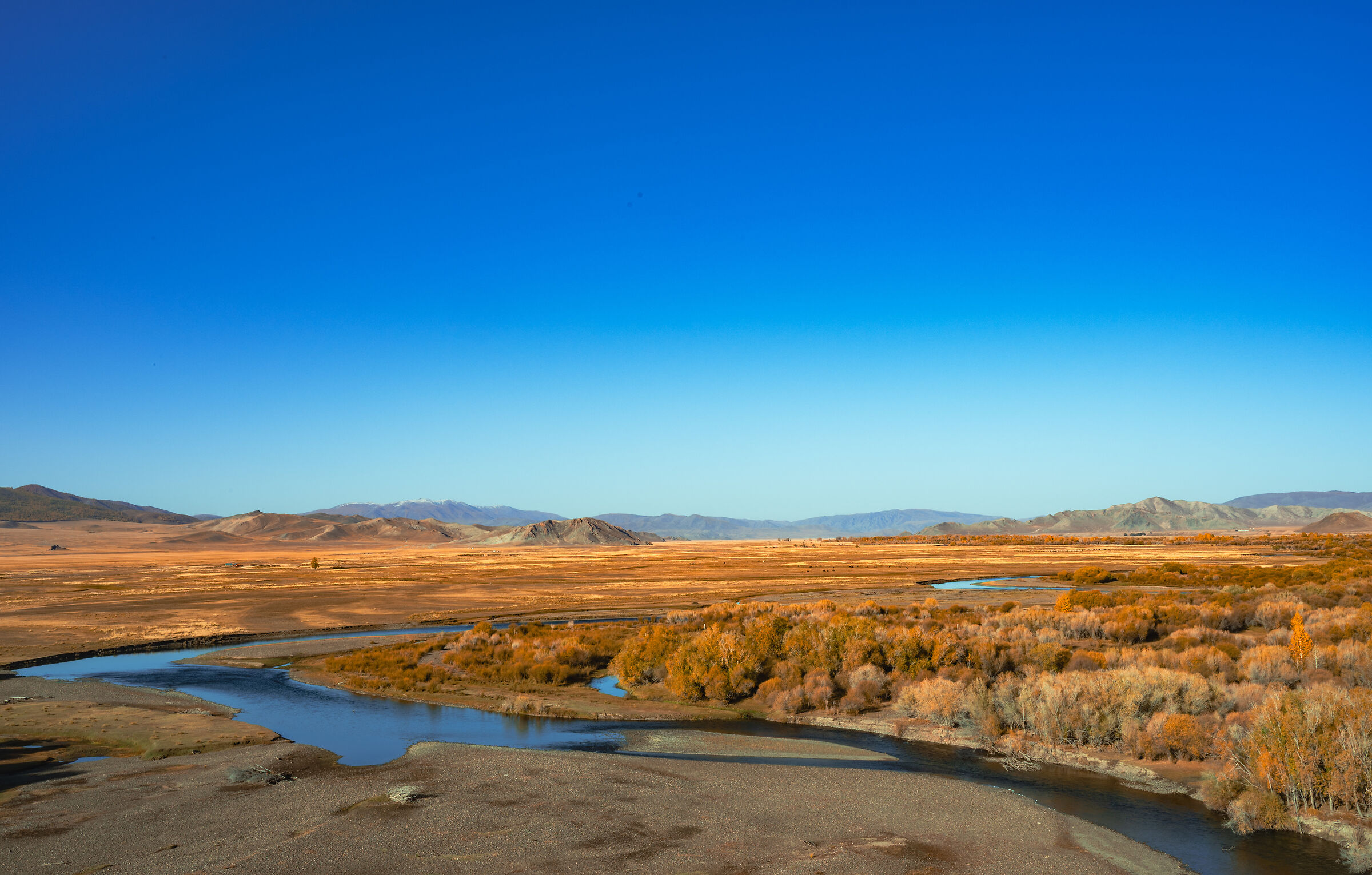 Painted steppes