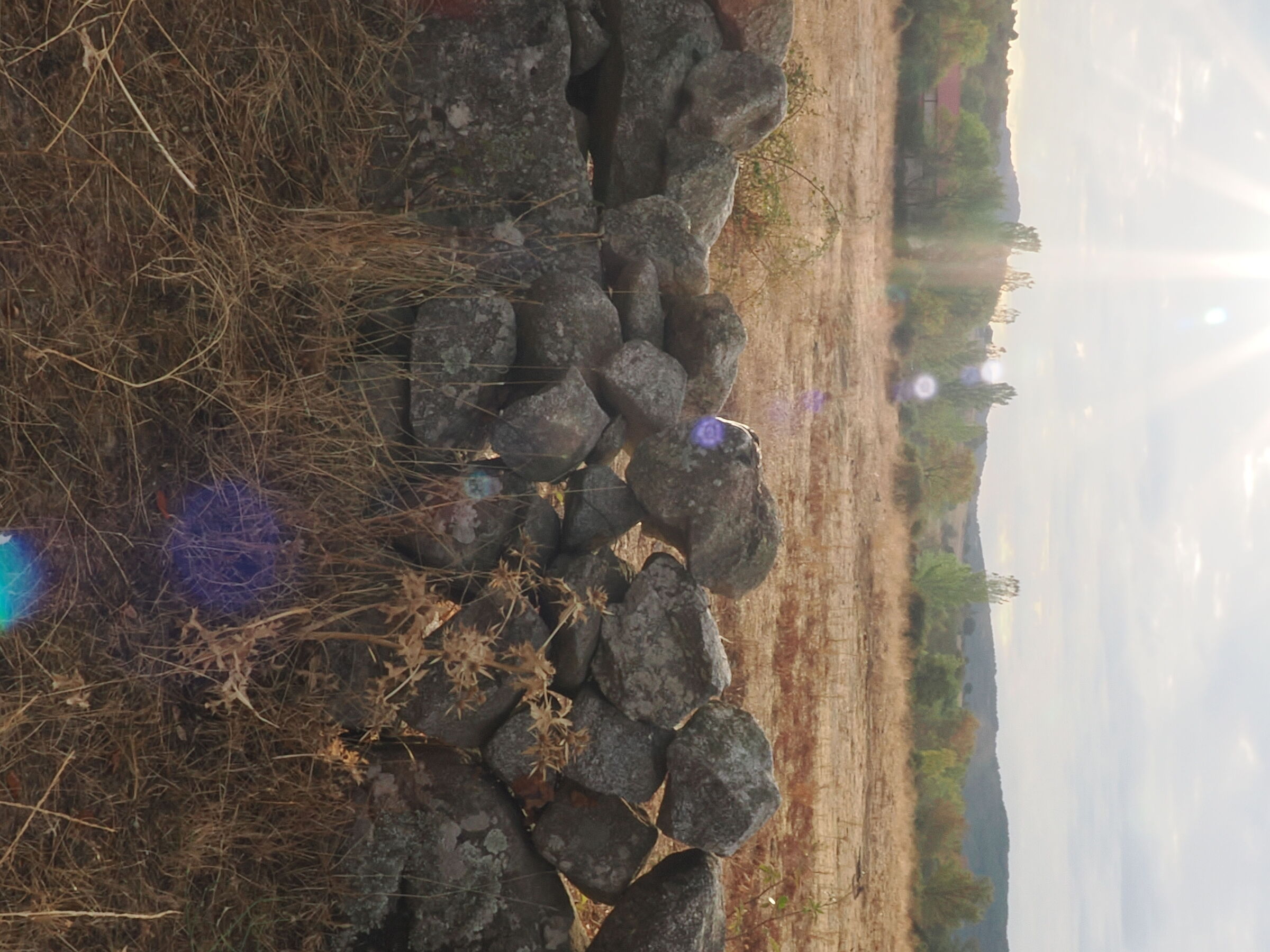 Flare. Qualcuno dice no