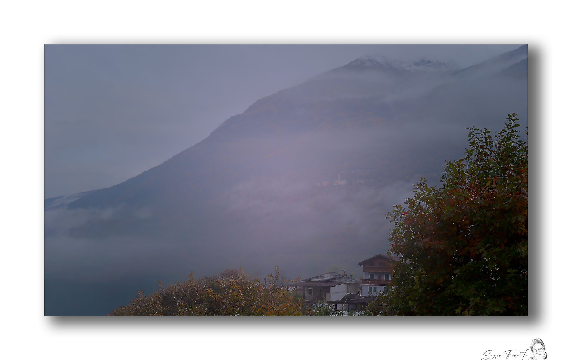 il Masuccio è coperto