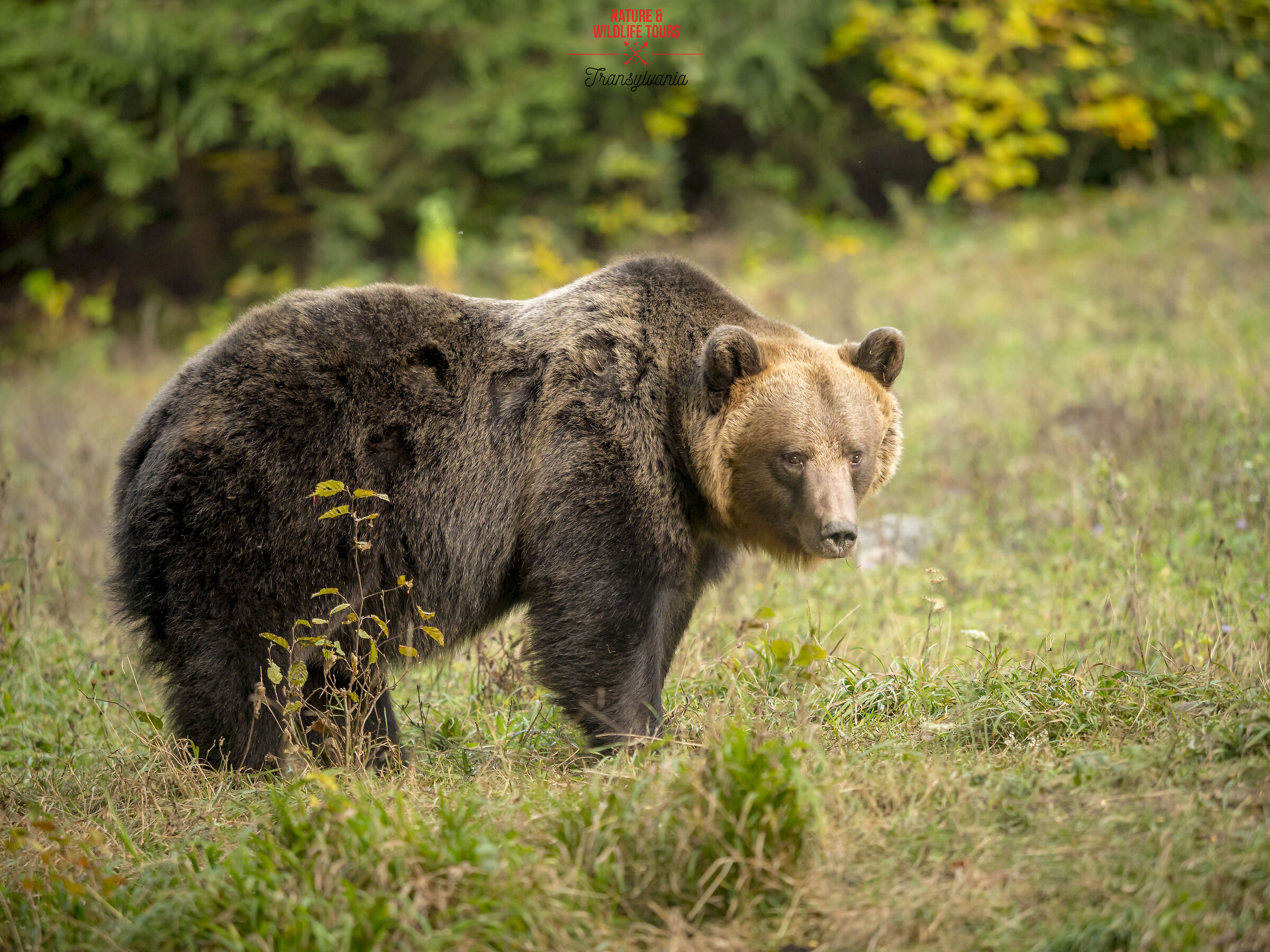 Prepared for the winter