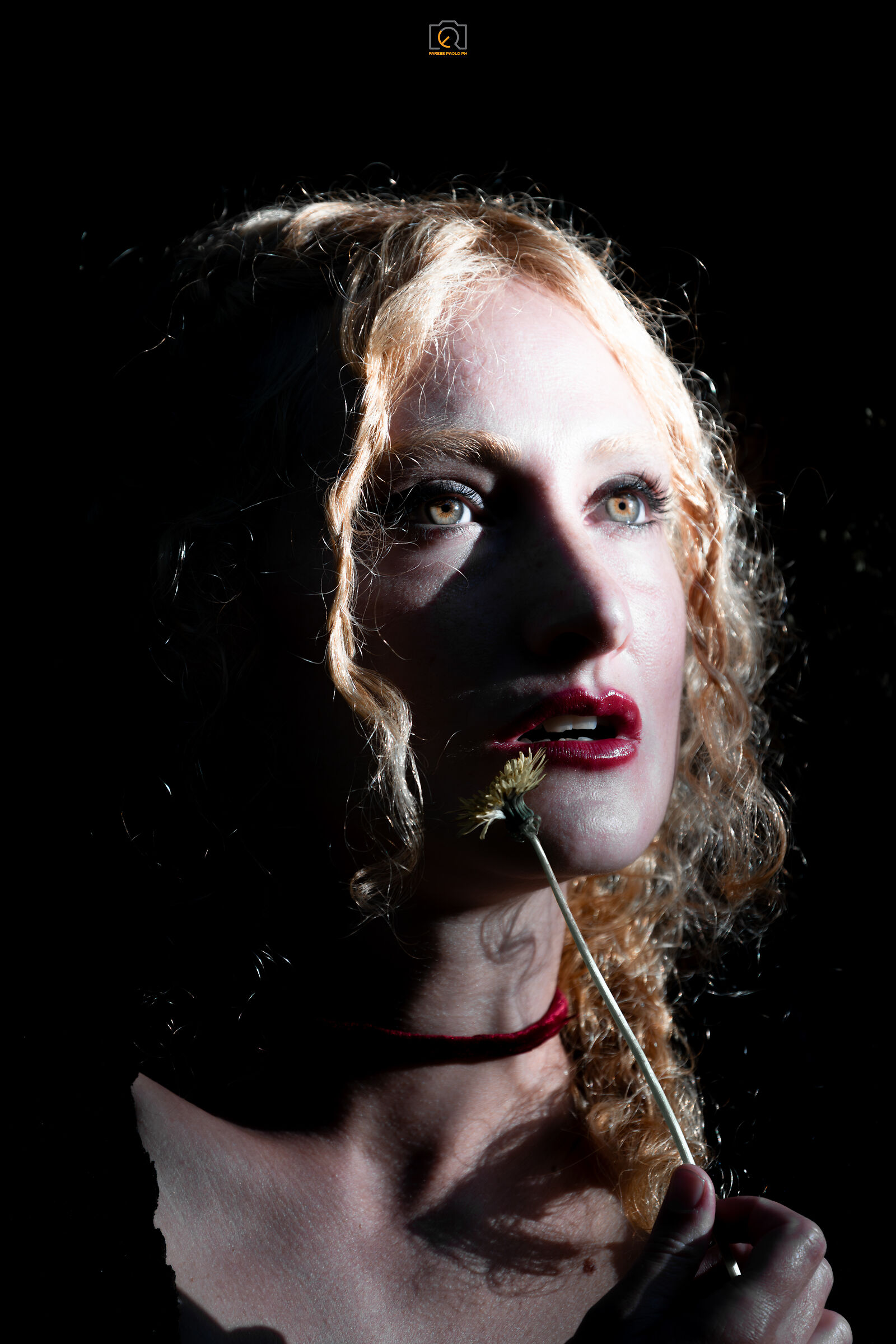 I light up in autumn