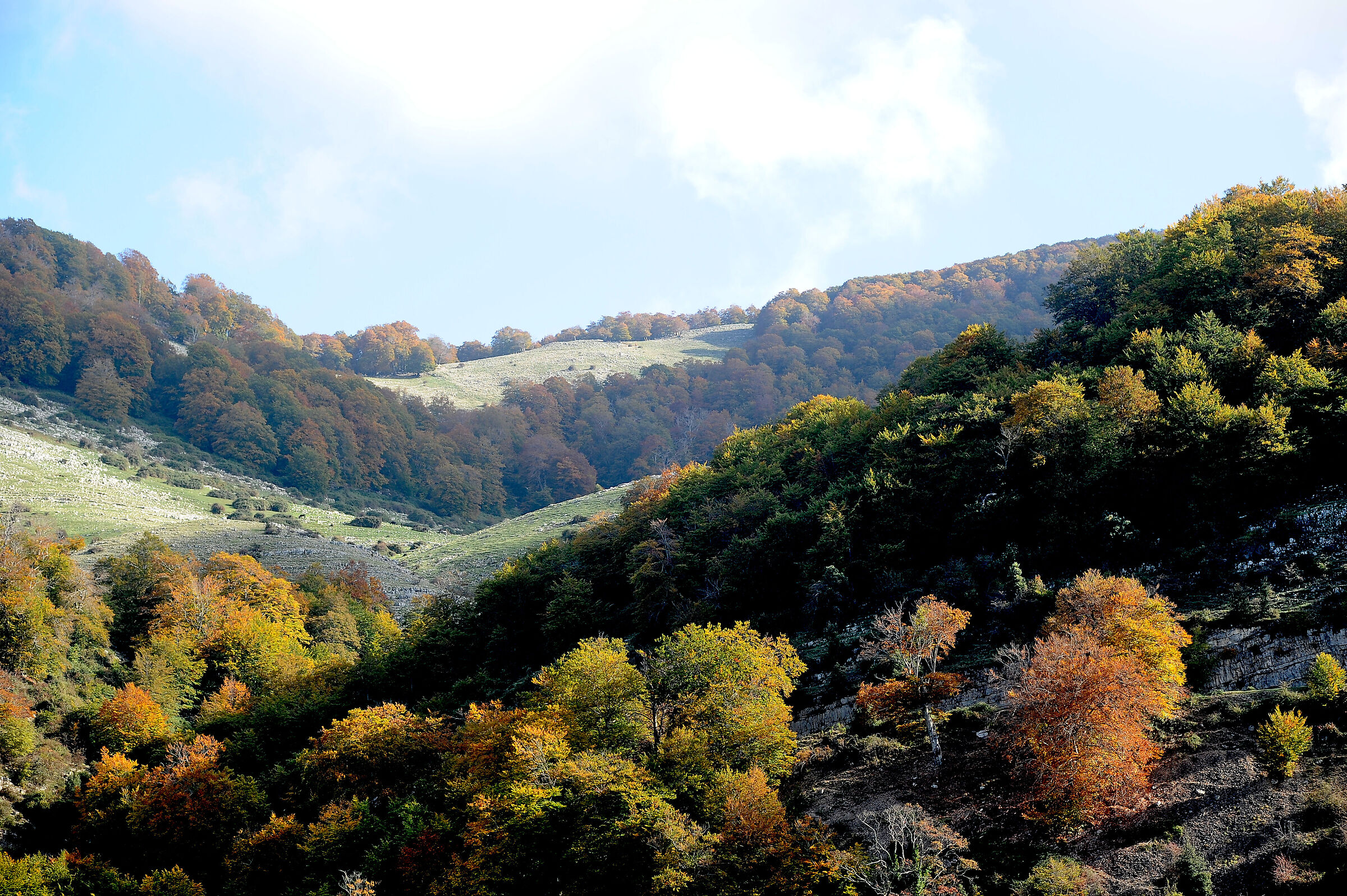 Autumn colours in the Lepini Mountains