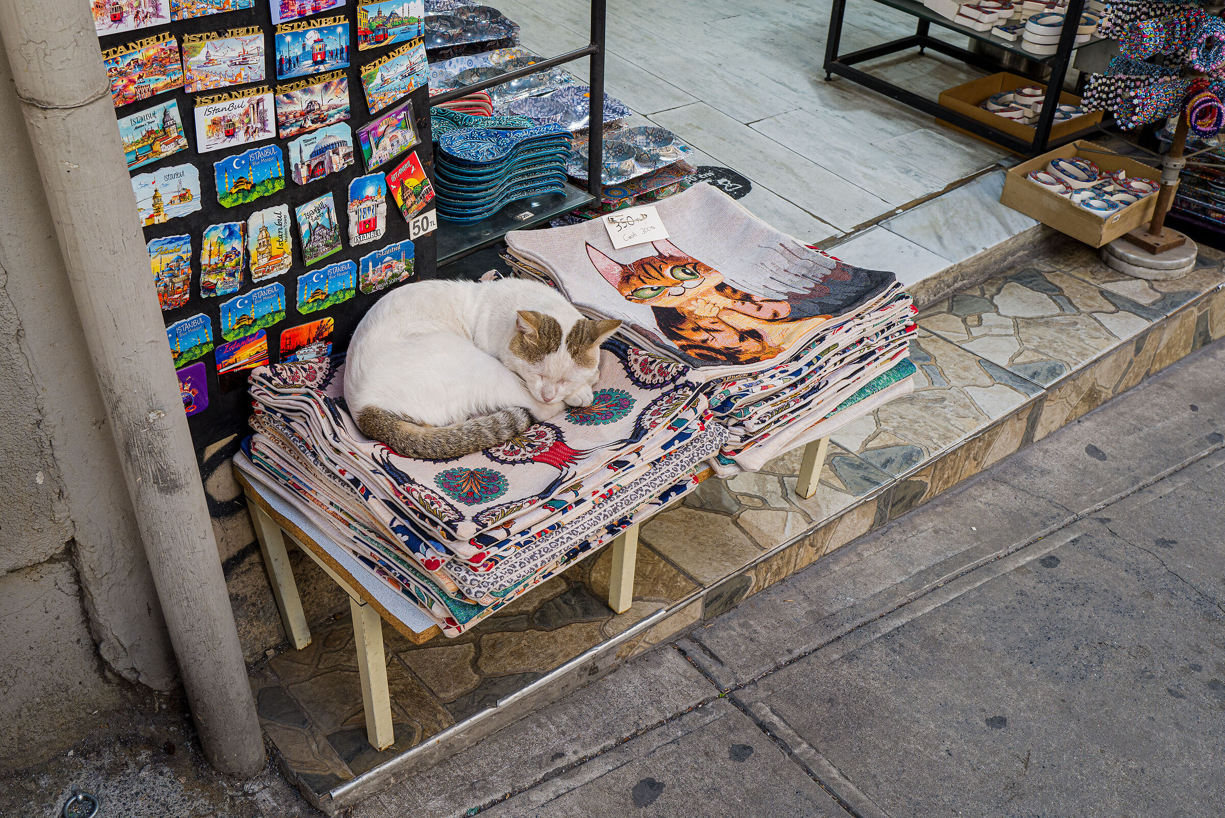 Which is the real one?