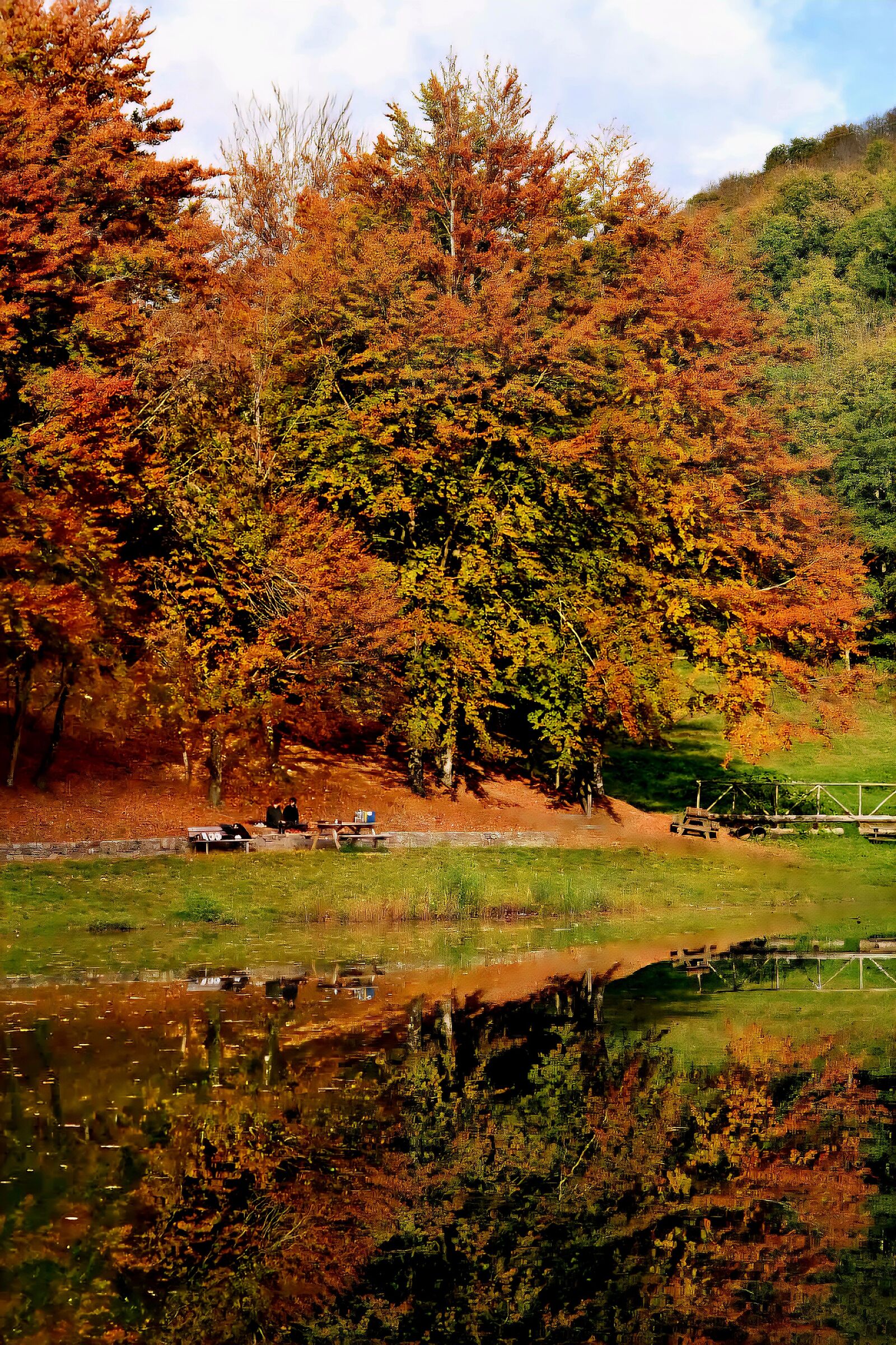 Autumn reflections