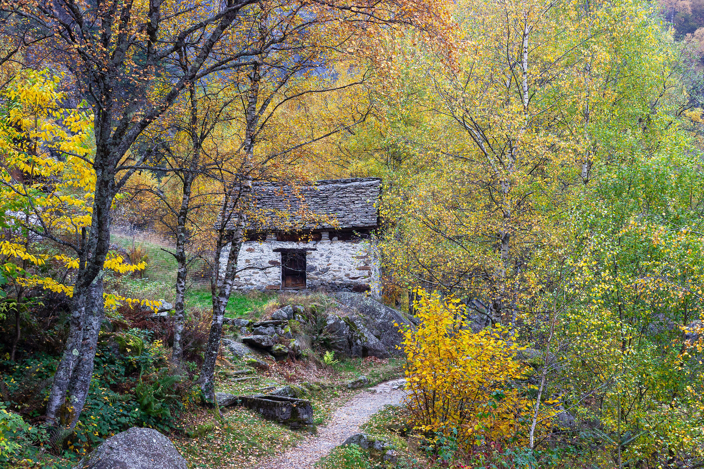 Autunno ossolano.