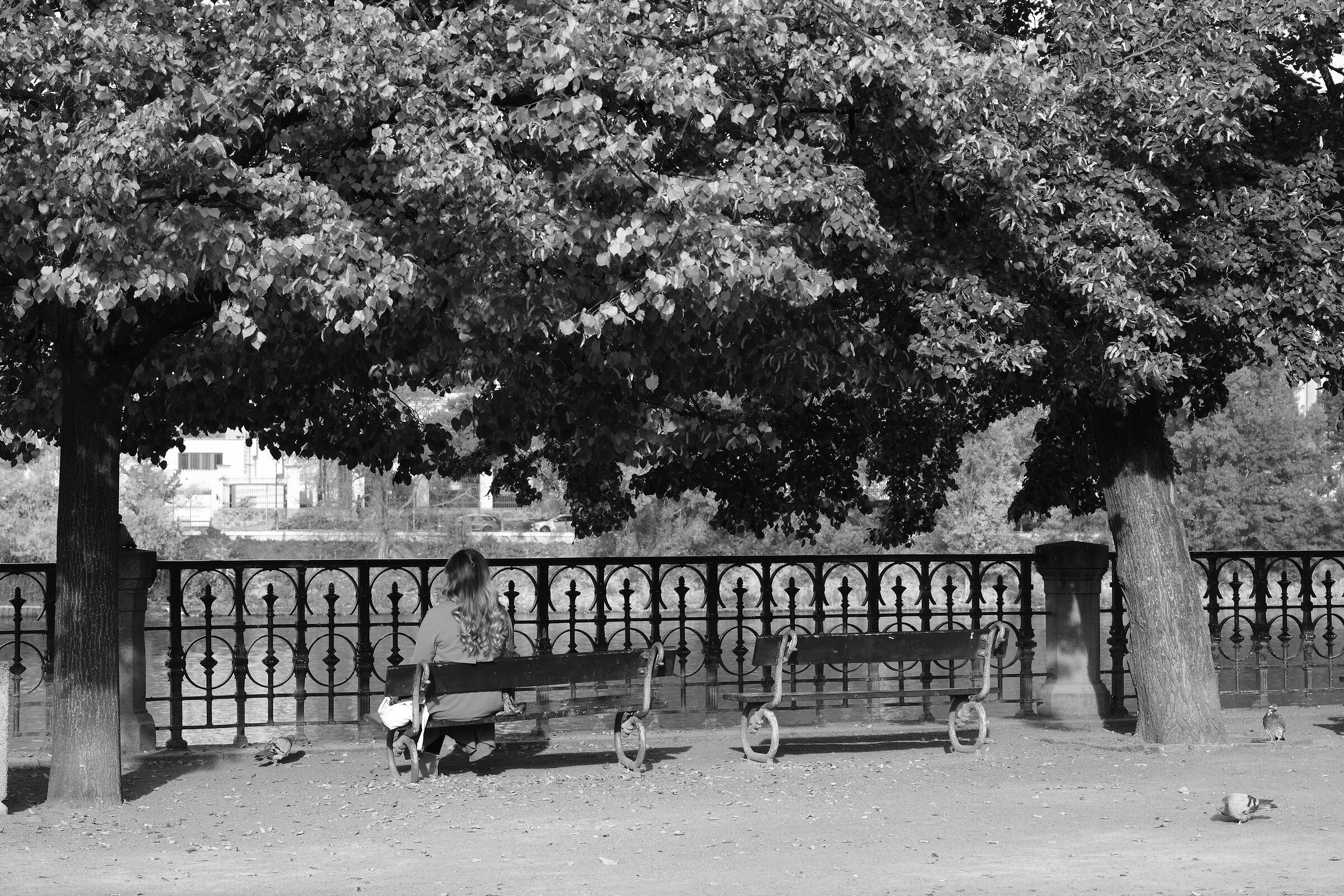 Guardando il fiume Moldava (Praga 2025)