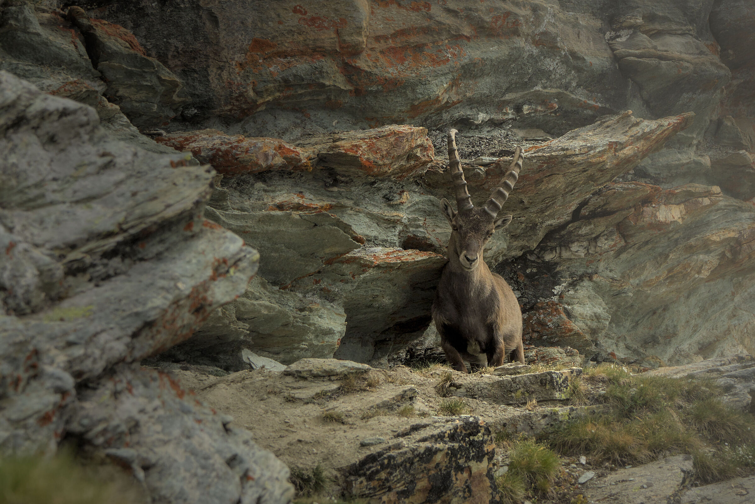 Il signore delle rocce