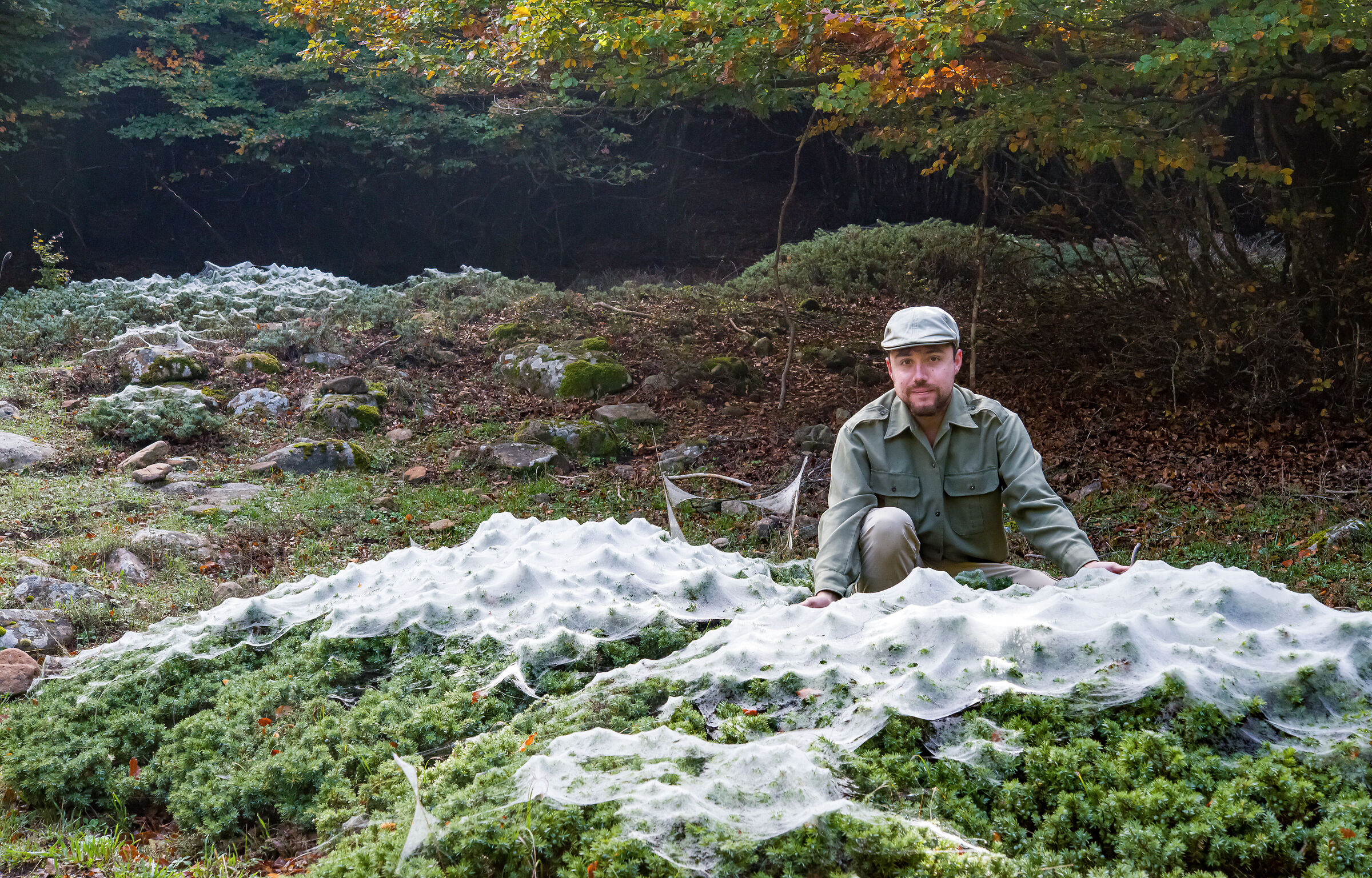 The "silk blankets" of the Madonie junipers