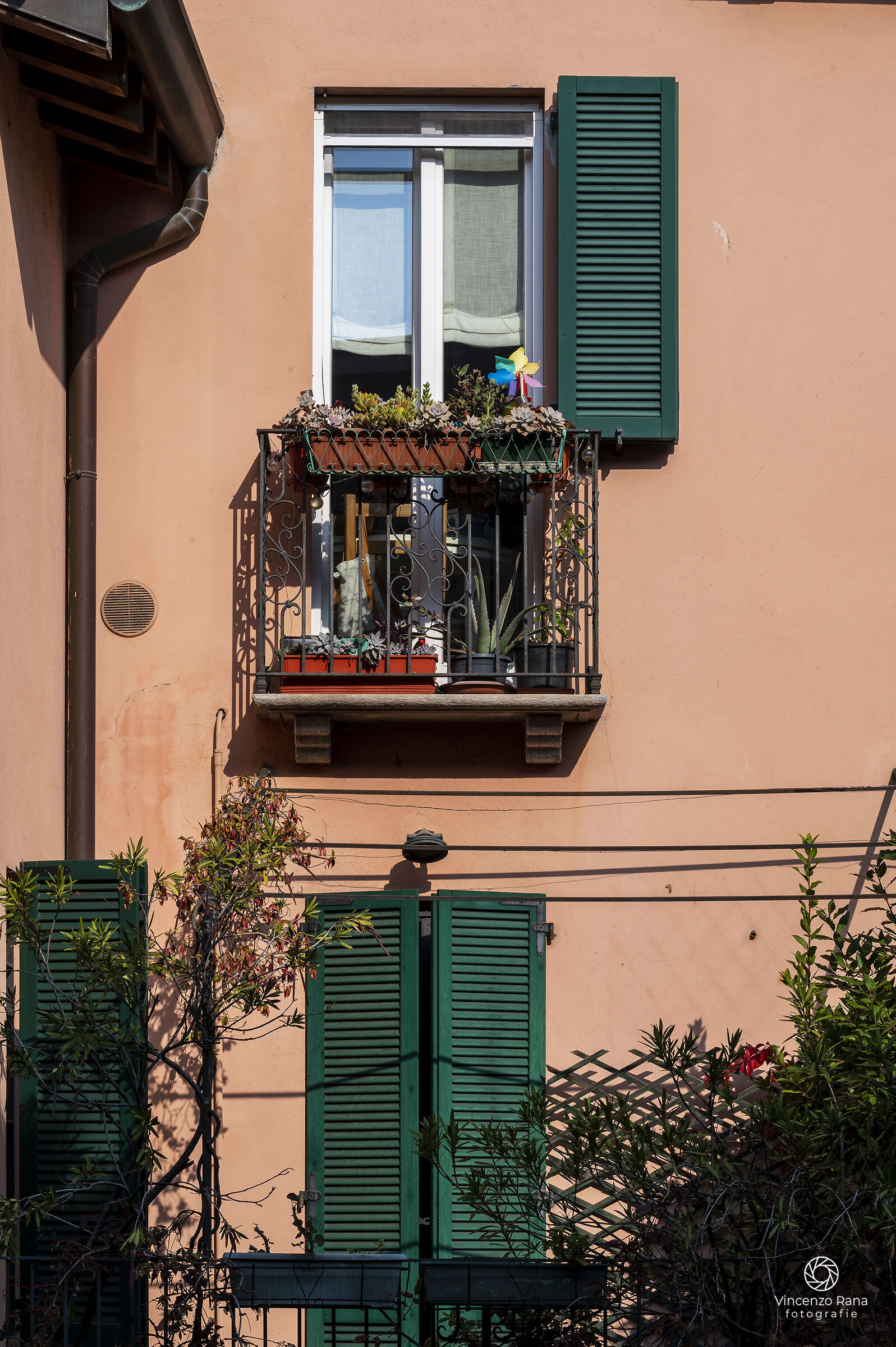 Houses along the Martesana