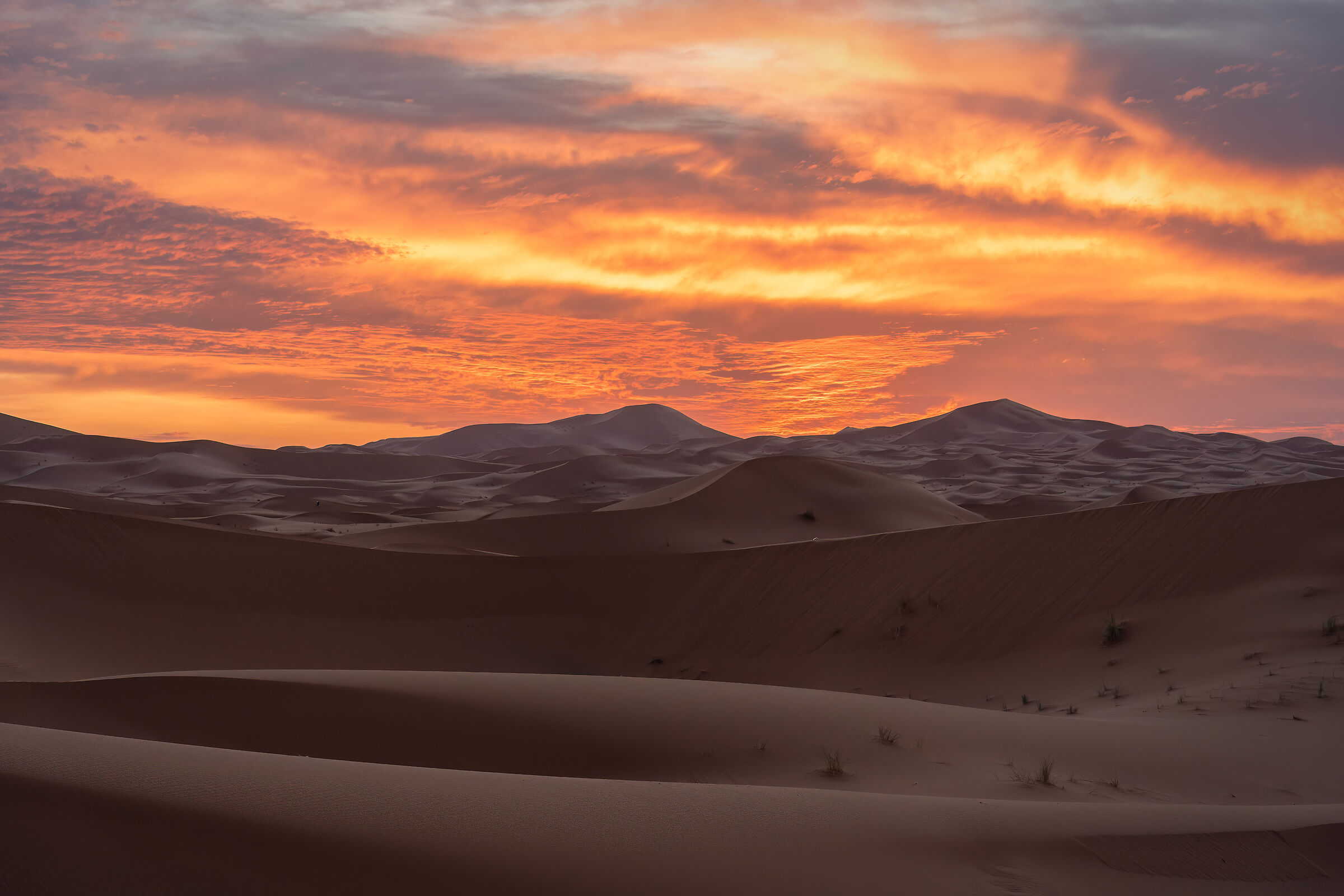 Sahara Sunrise
