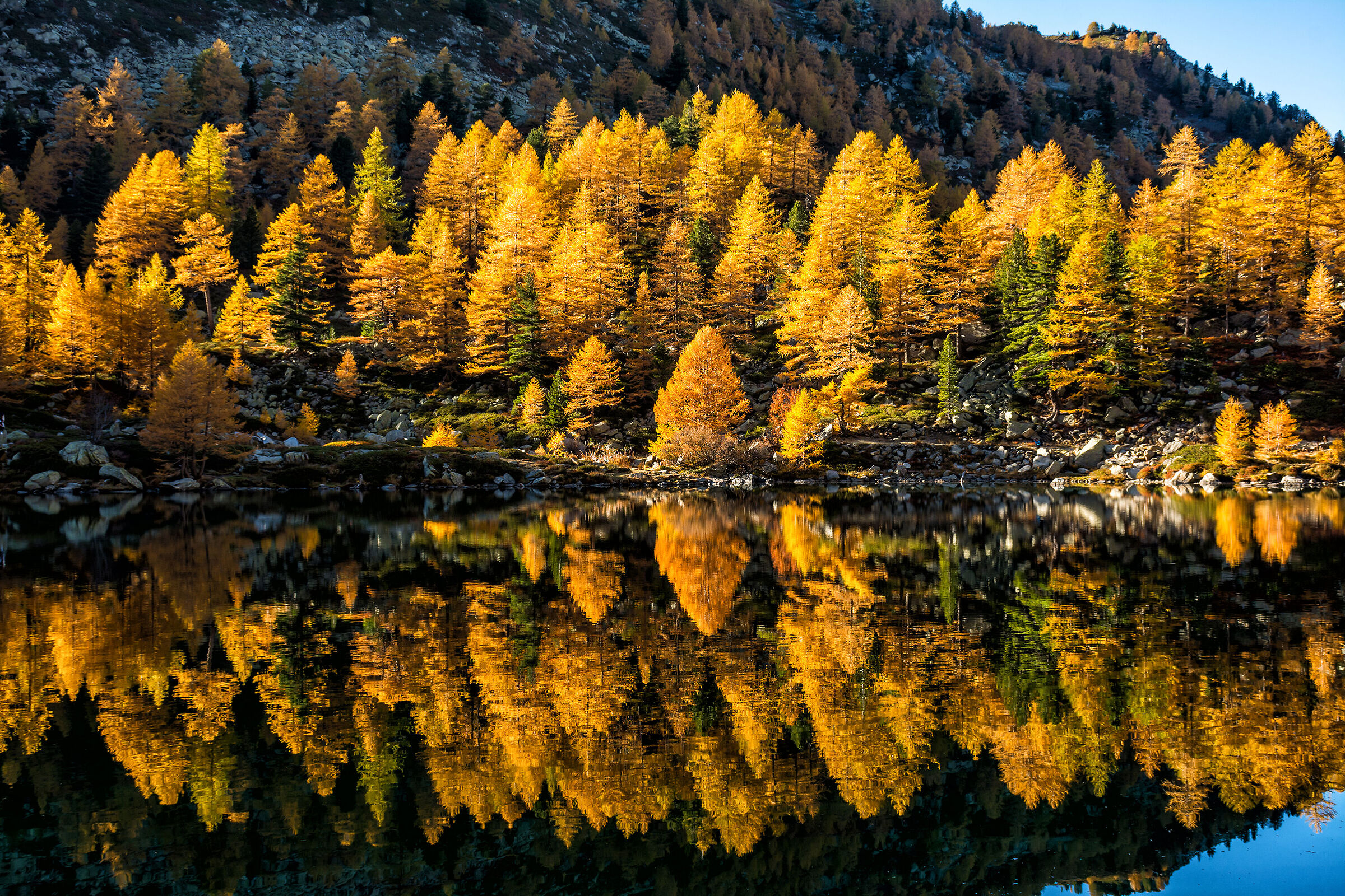 I riflessi di Arpy