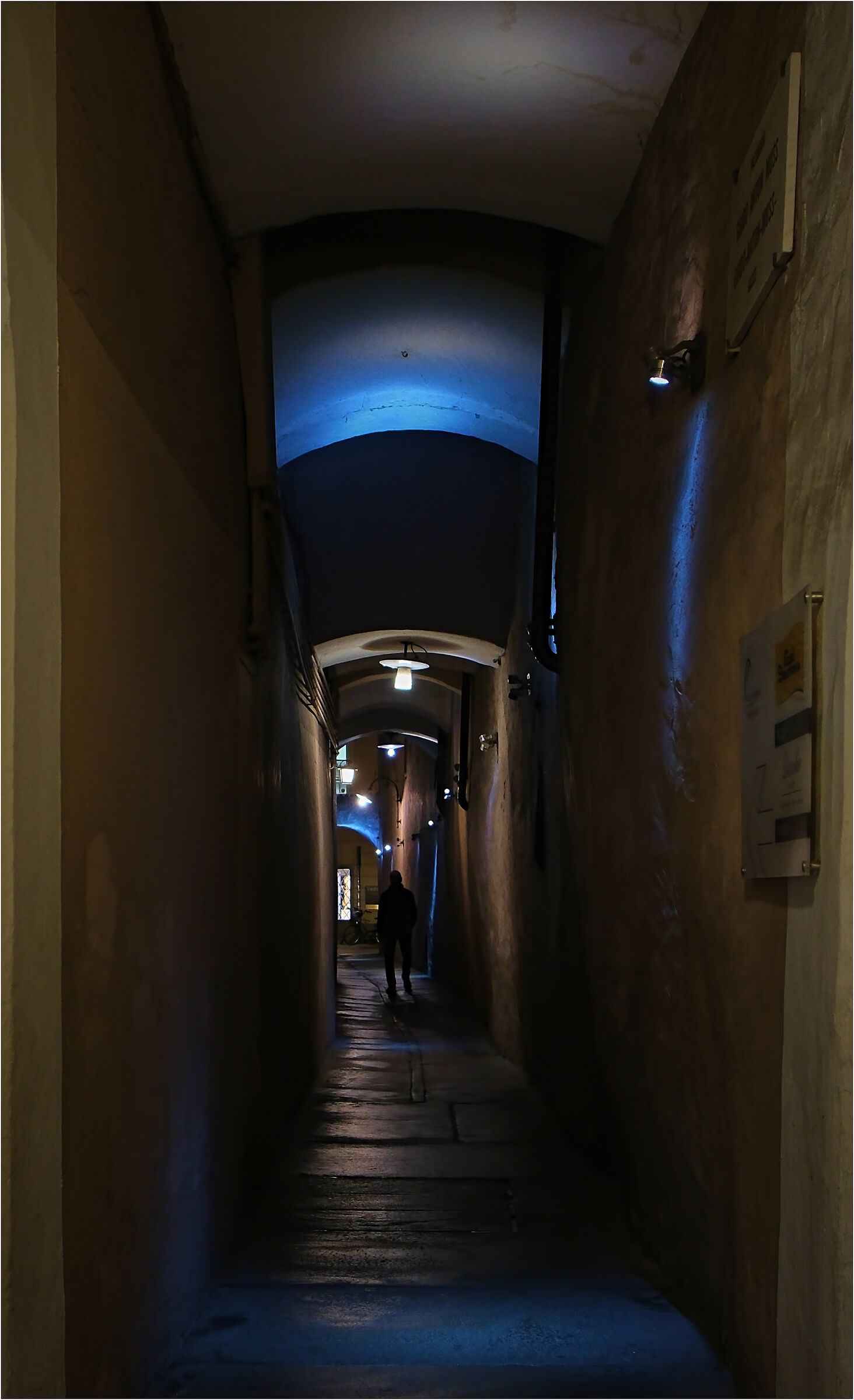 -man in the gallery-