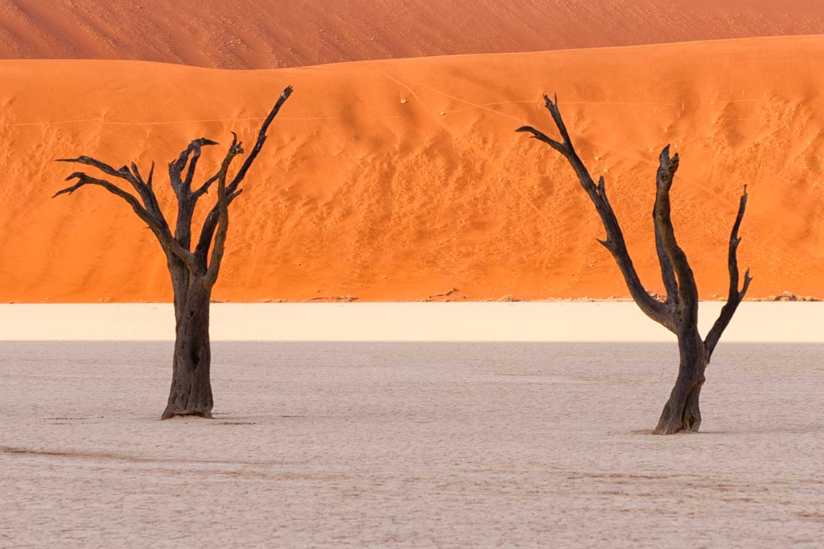 Dead Vlei