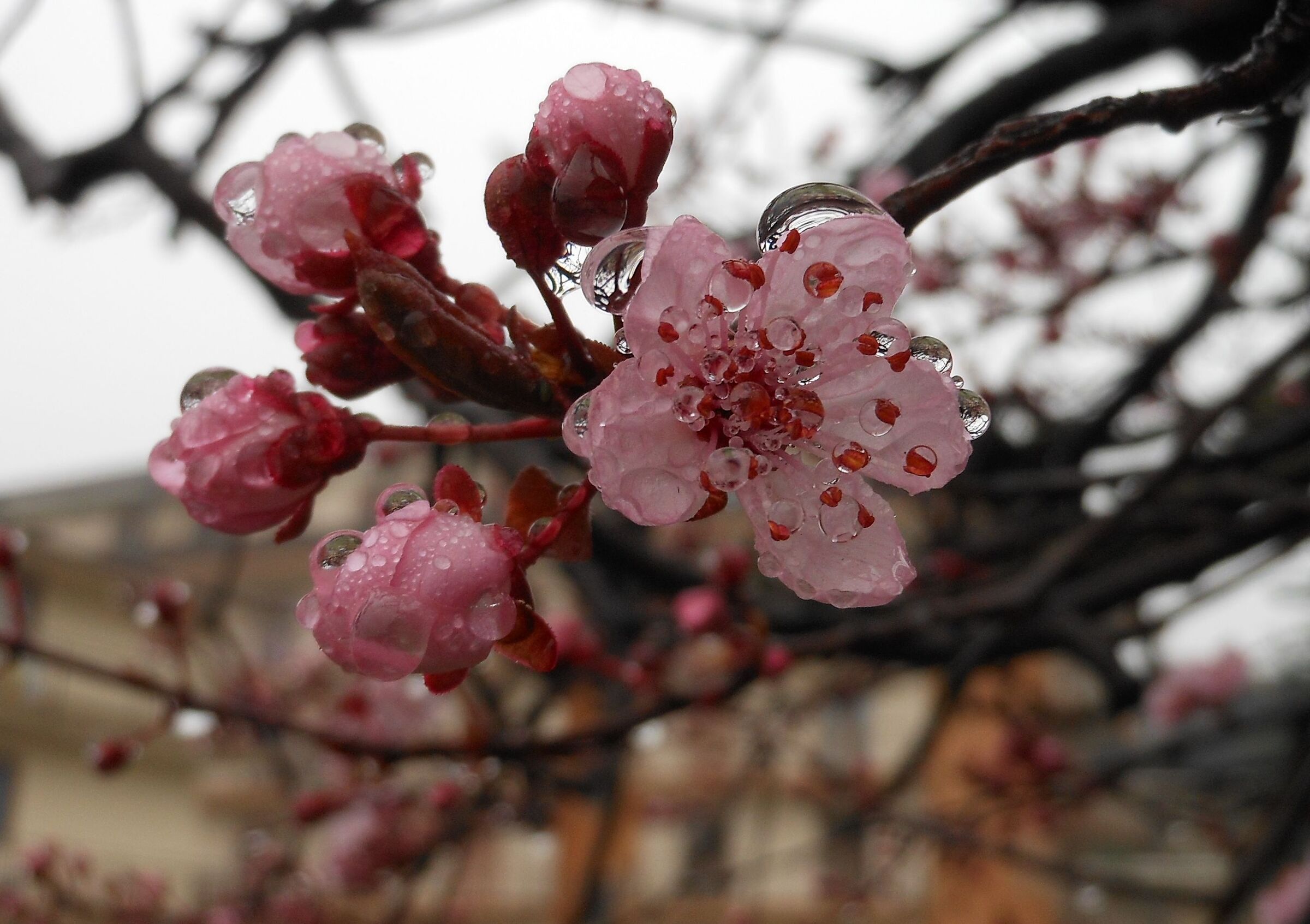 And it was still raining