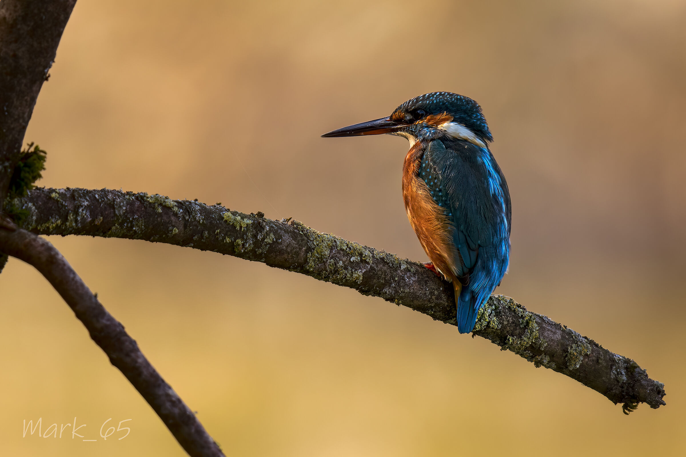 Martina.... at sunset