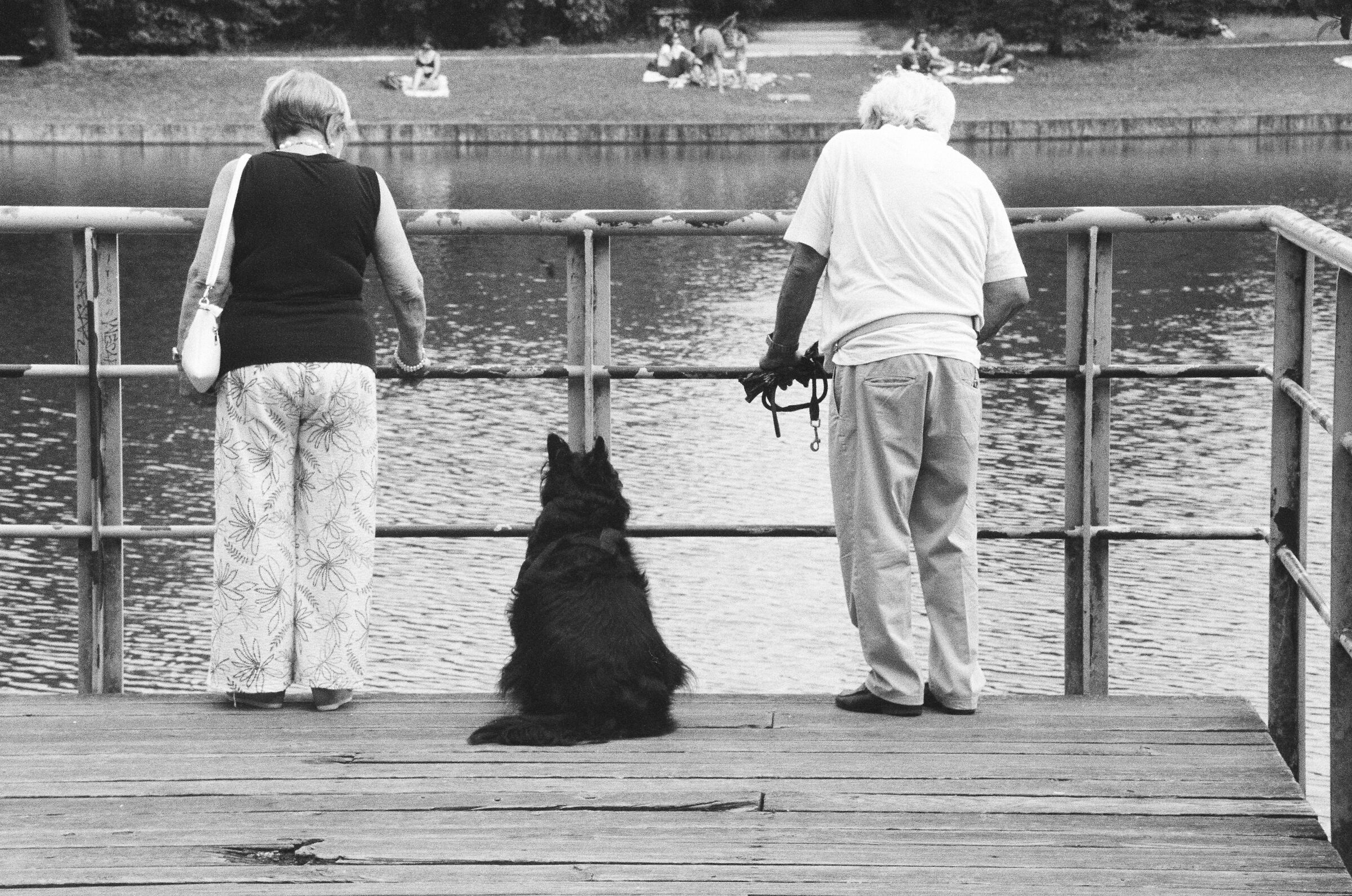 Parco Nord Milano, 2025