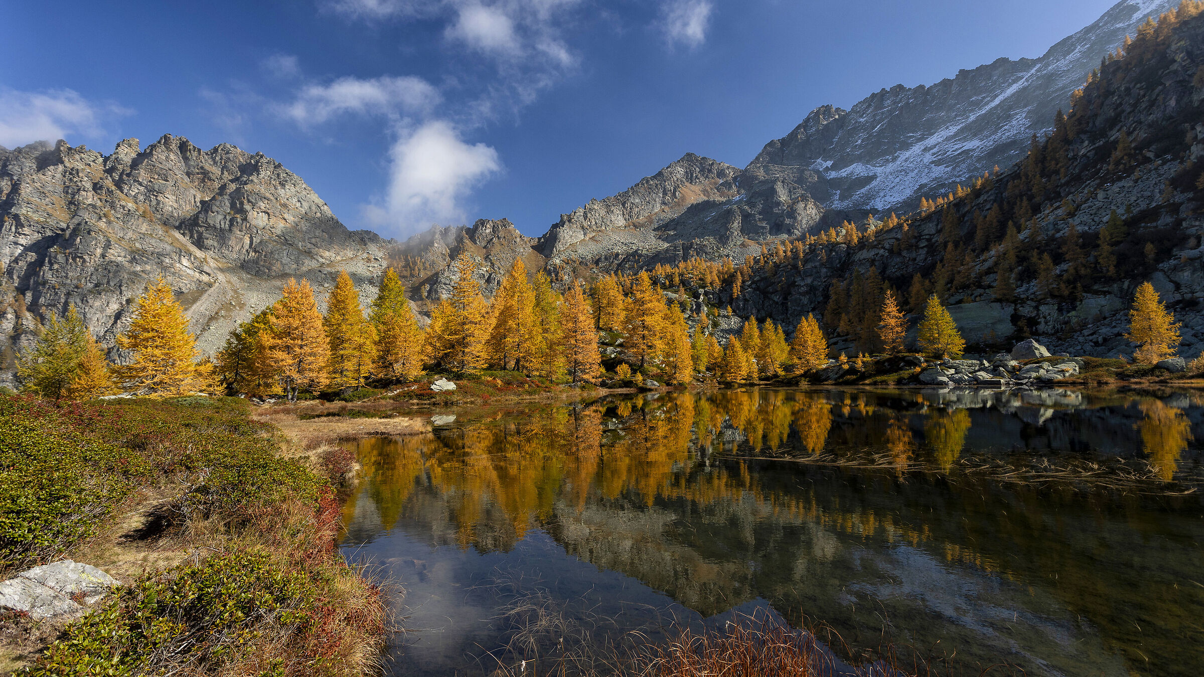 Autumn lights