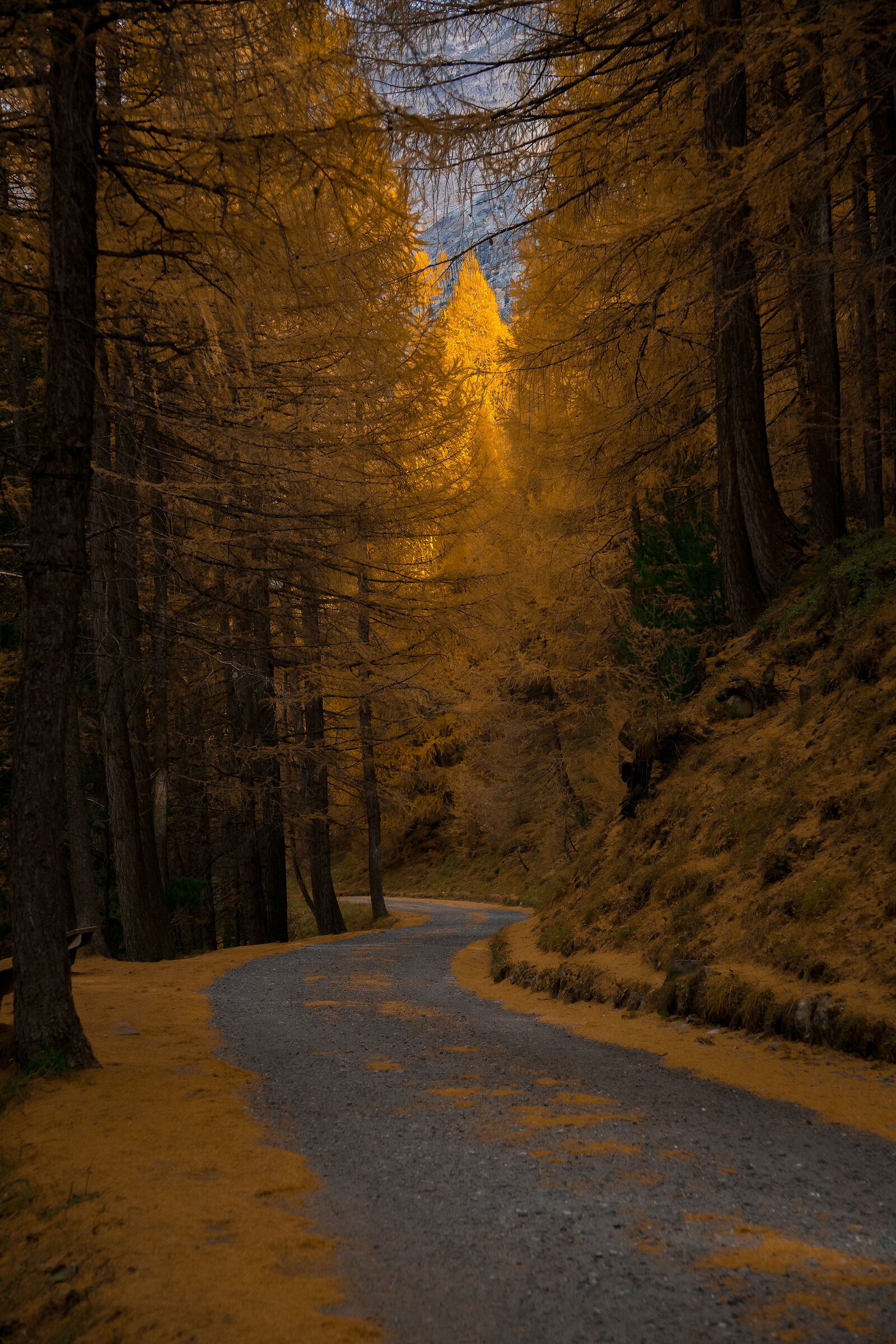 La strada per la luce