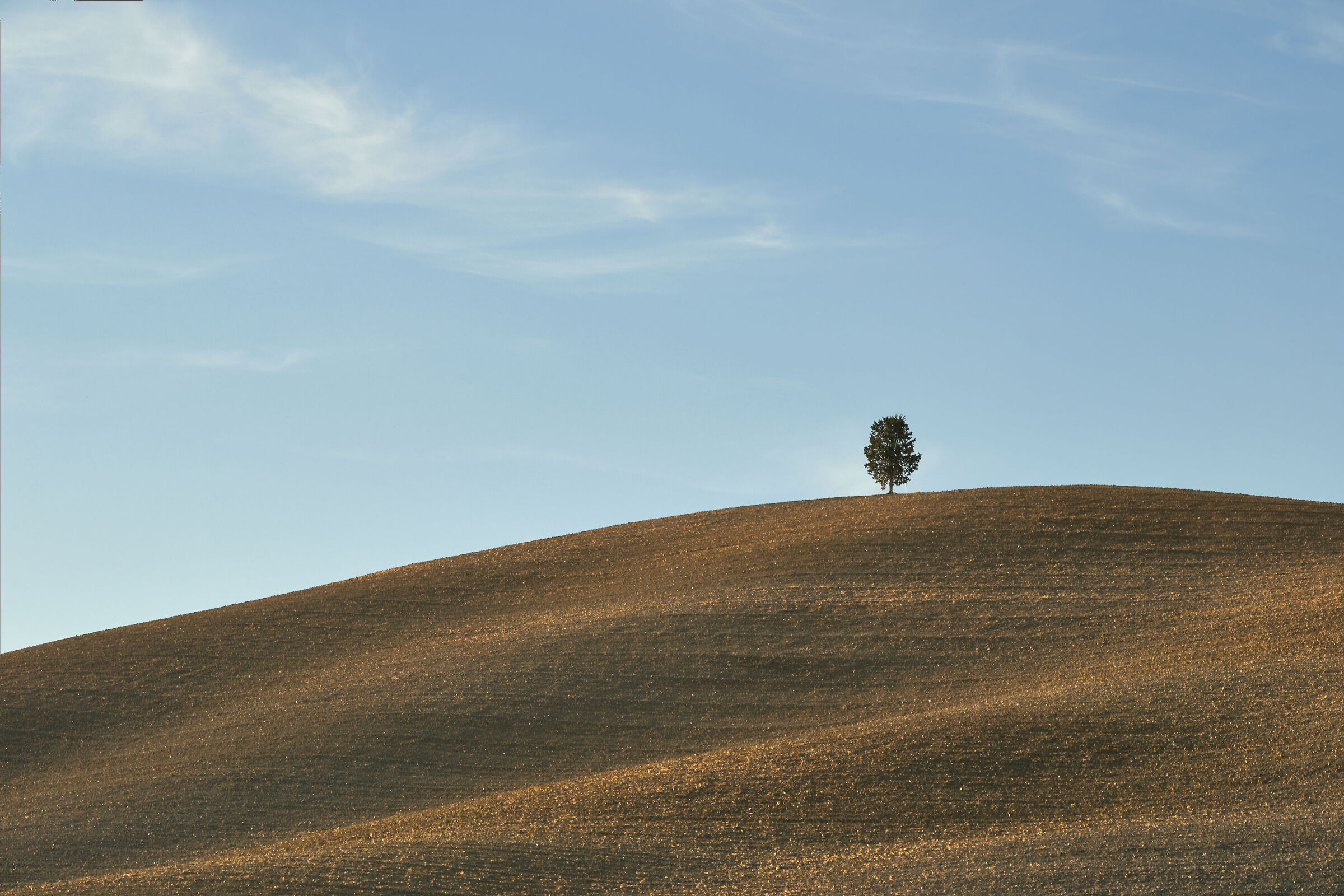 "minimal" al tramonto in Val d'Orcia