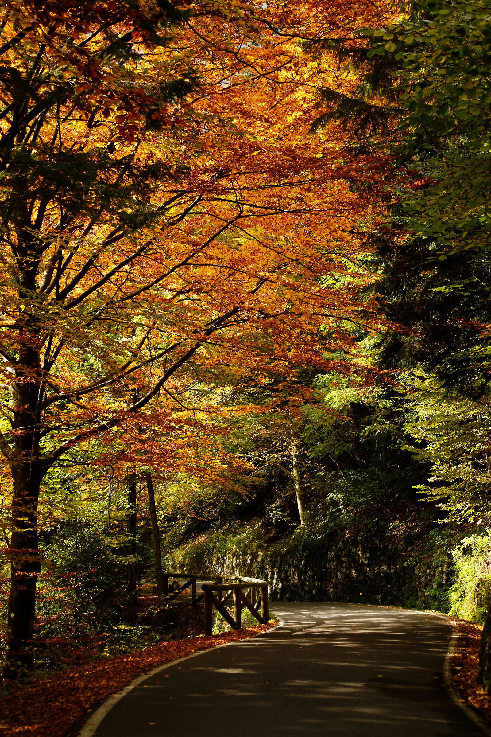 The beauty of the trip is ... The journey itself