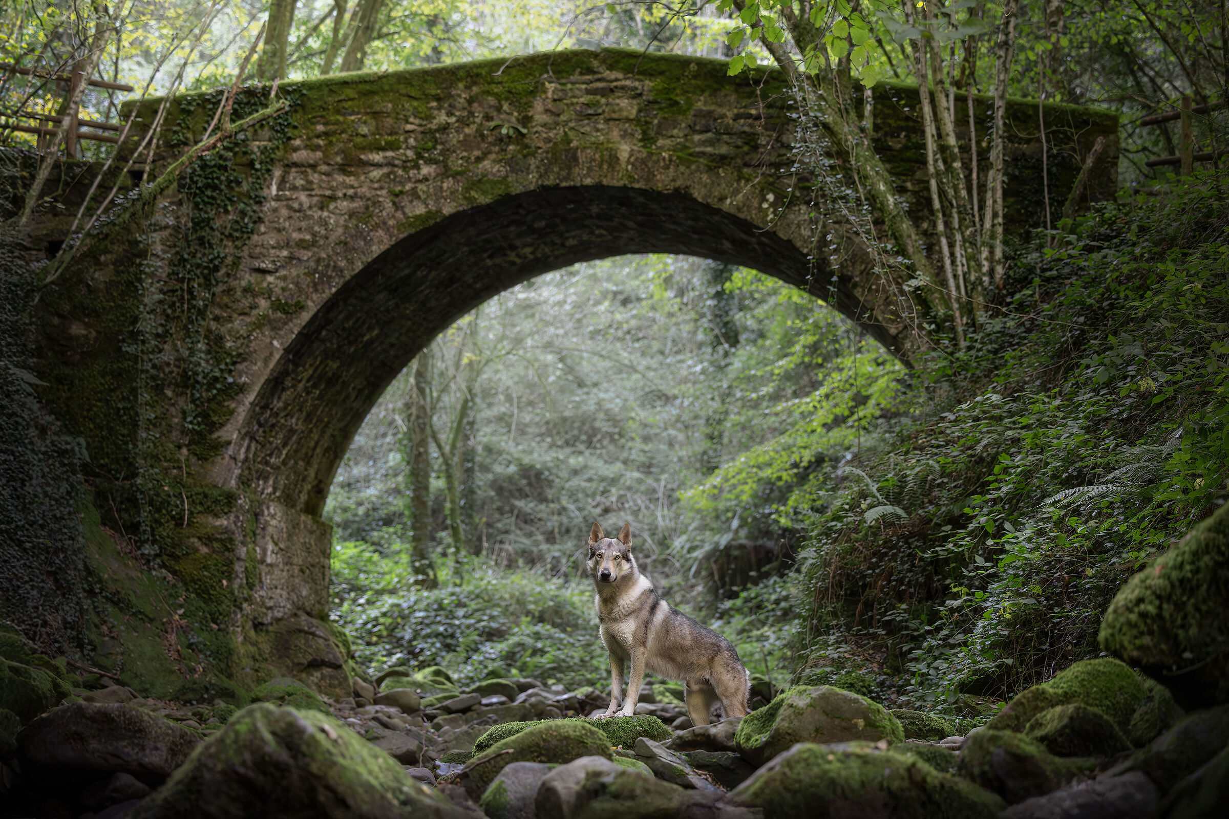 History and nature, between echoes and whispers
