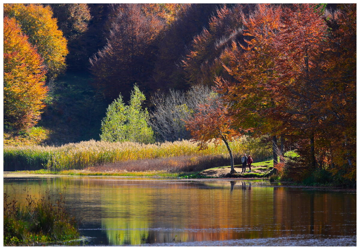 Autumn on Lake Calamone