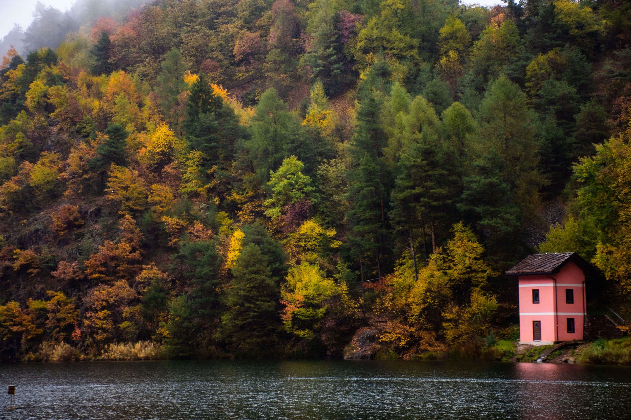 Lake Lases