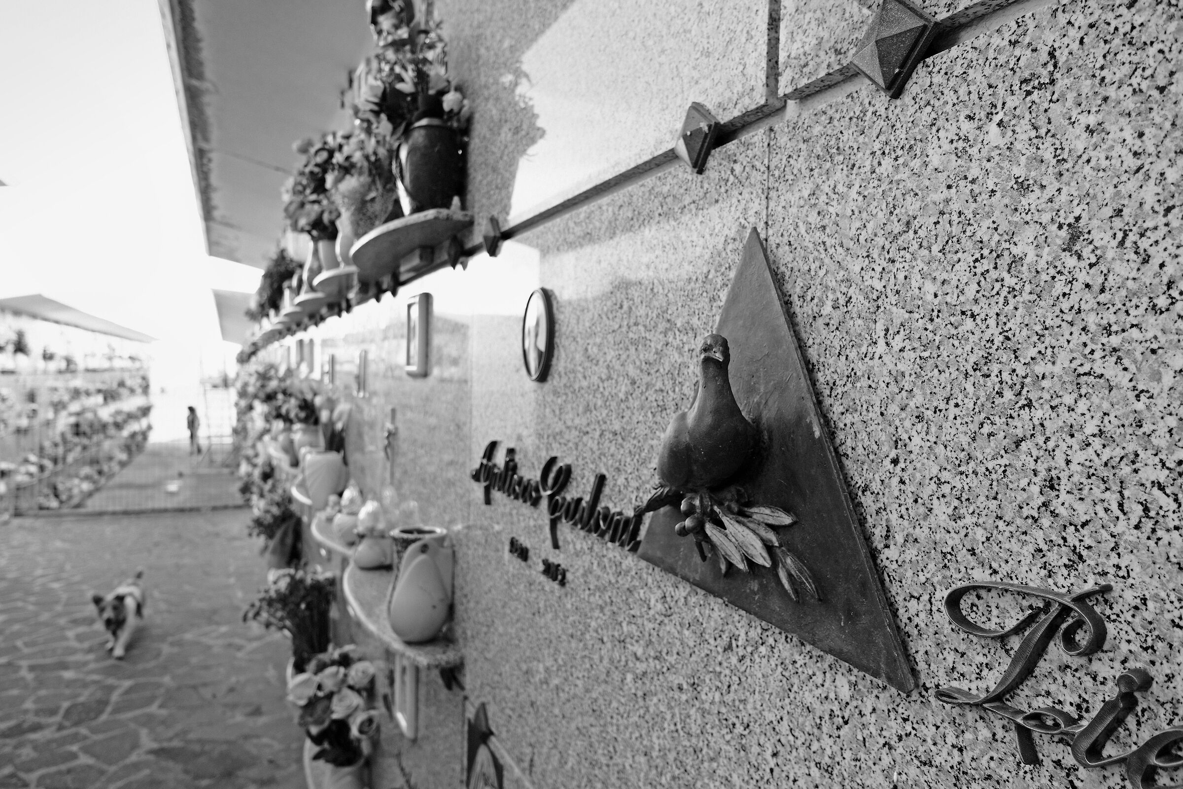 "Eternal Peace"