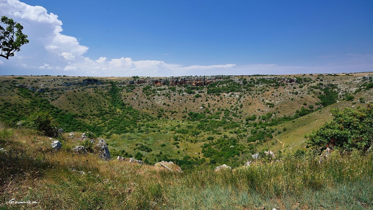 il Pulo di Altamura 8