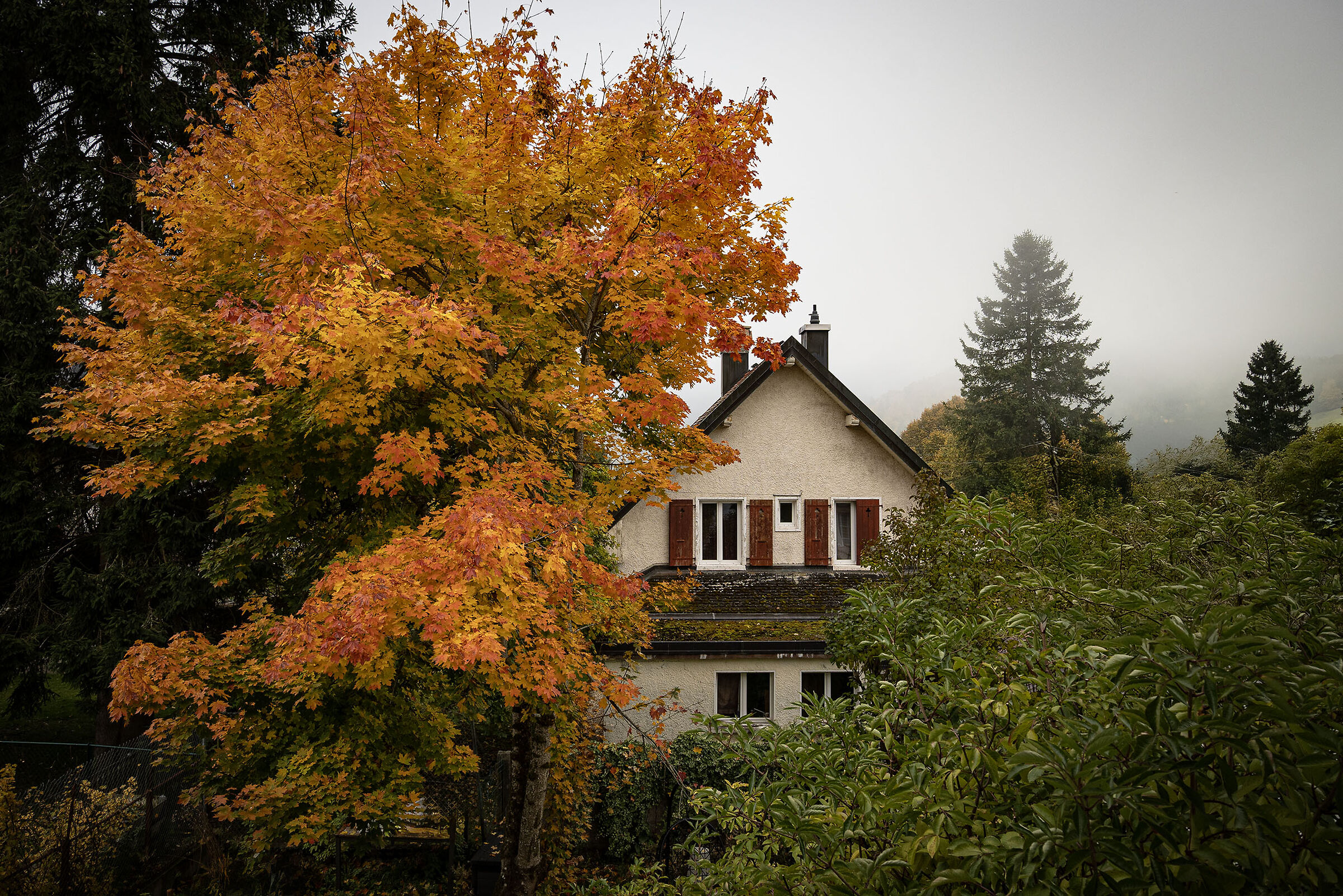 La casa nel bosco autunnale - Ste-Croix ( VD ) Svizzera