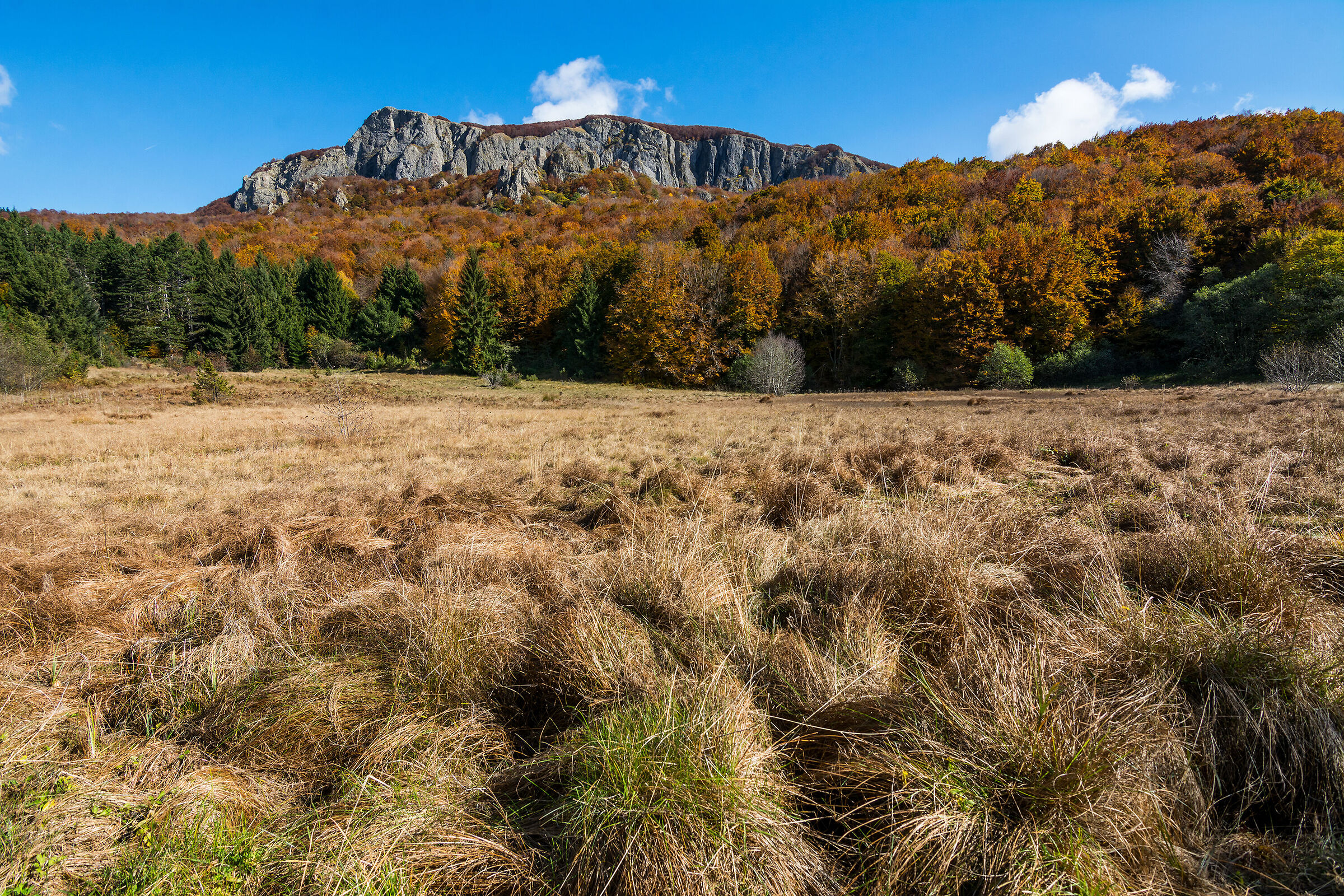 Lake Riane in autumn