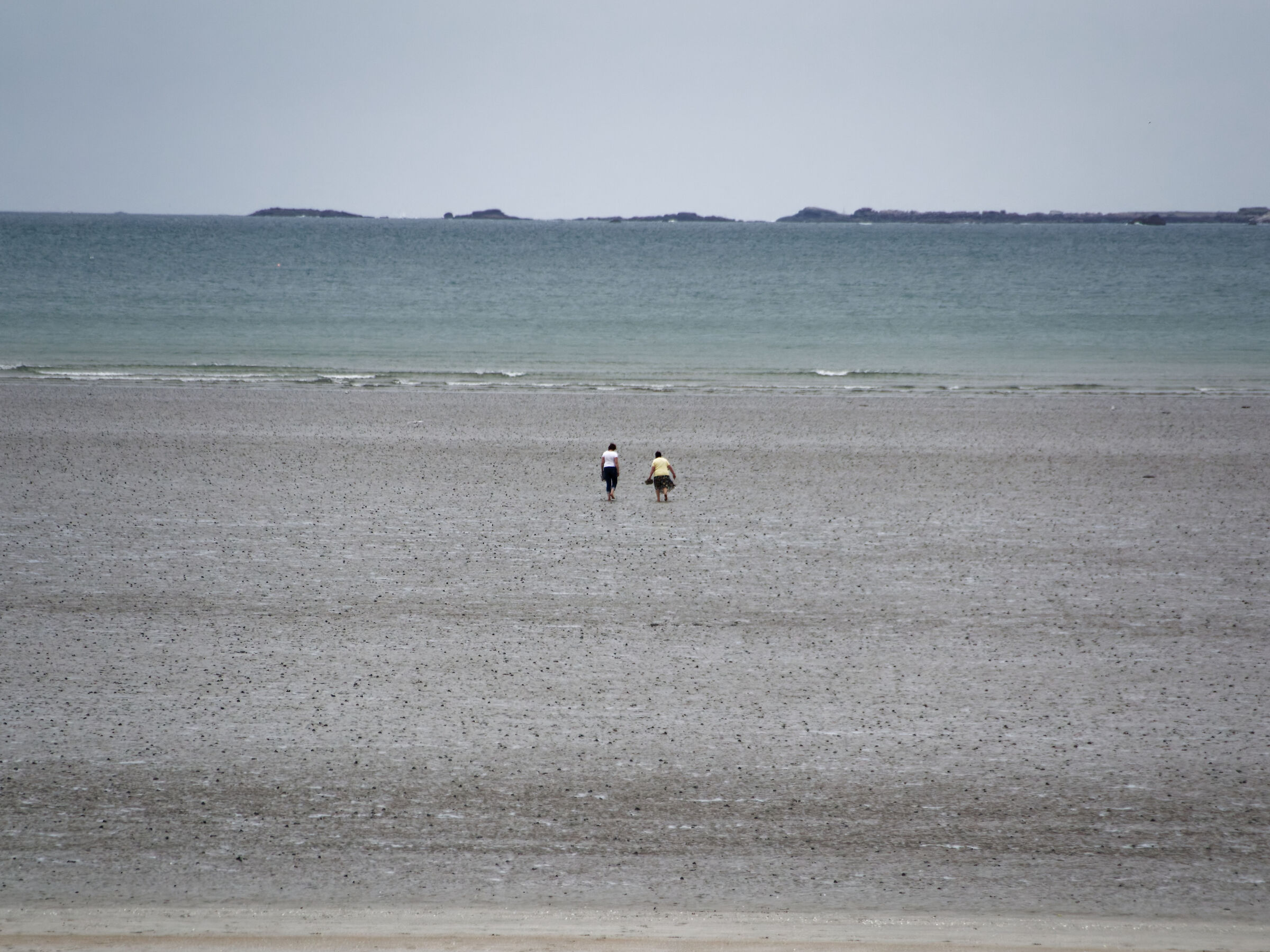 ROSCOFF_2017 (_DSC8289-1)