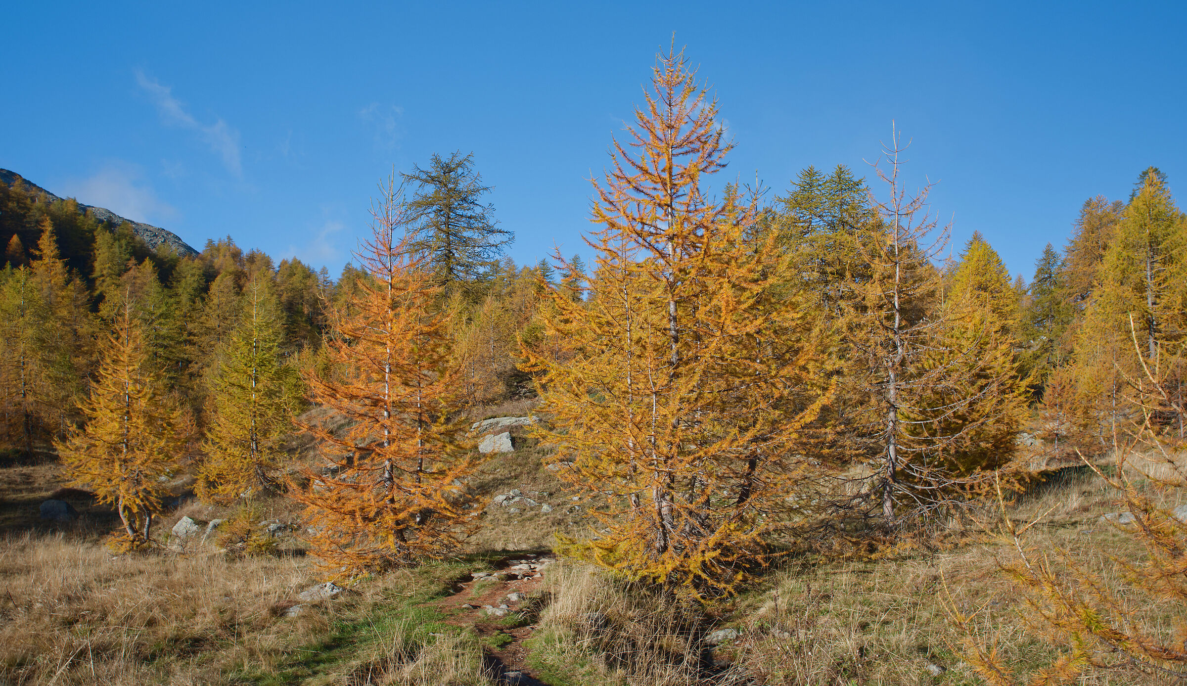 Alta Val Bognanco - the colours of autumn